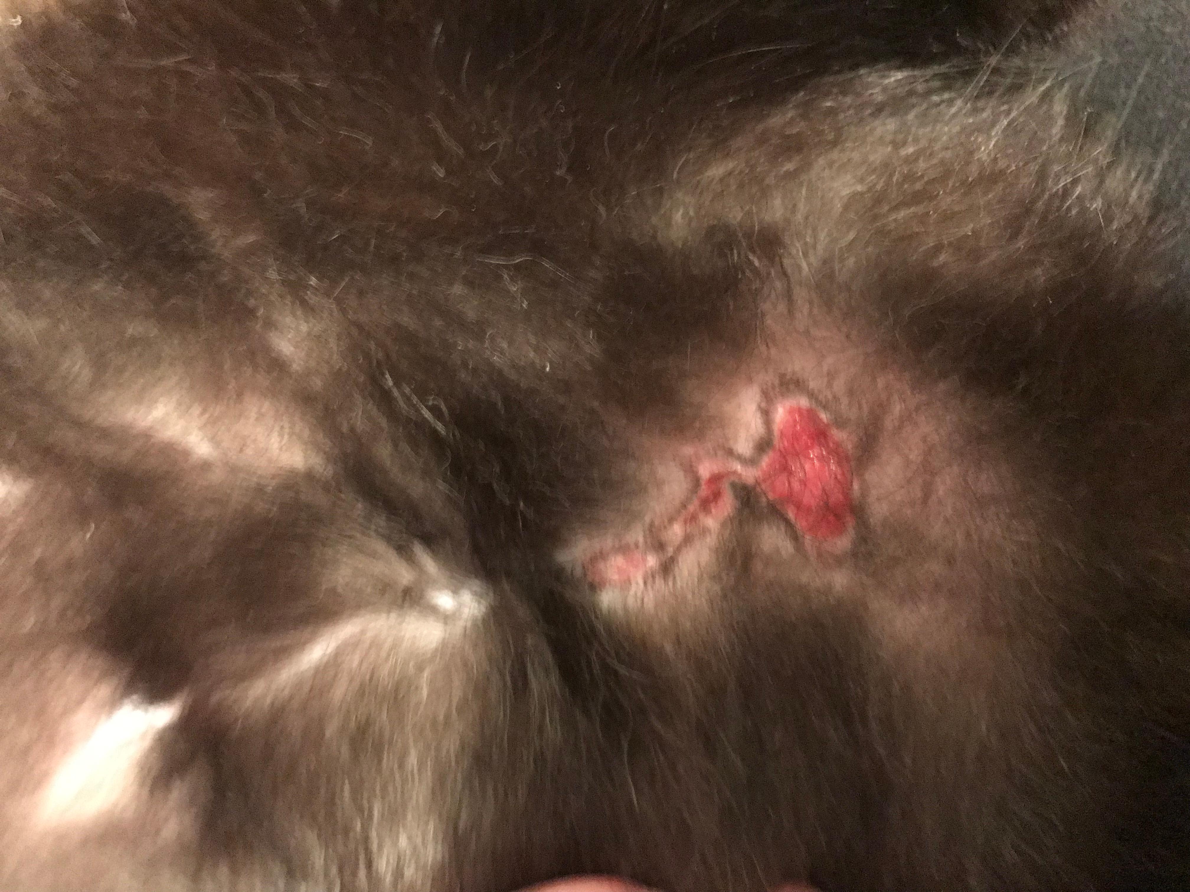 Question details sensitive content