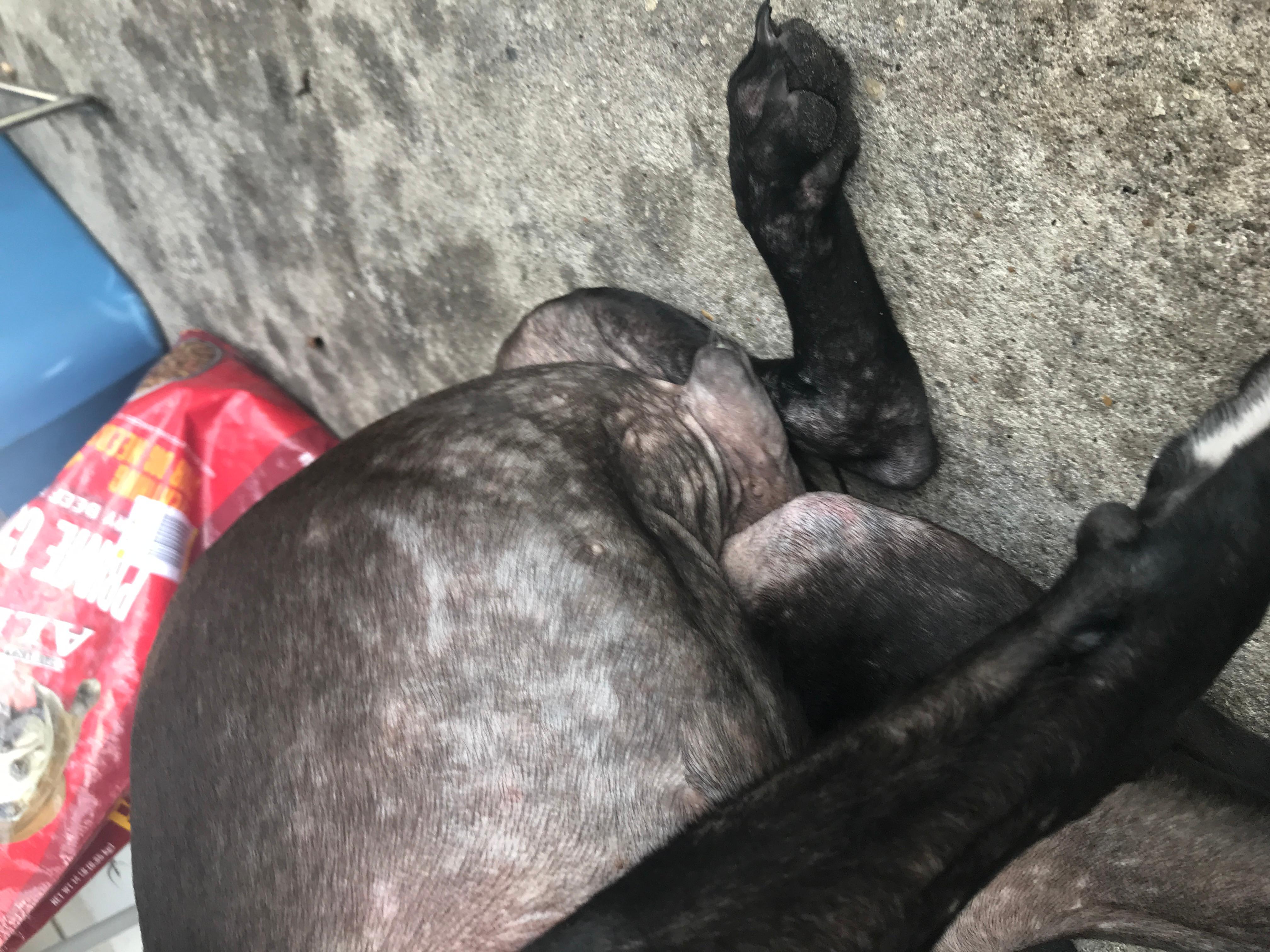 Question details sensitive content