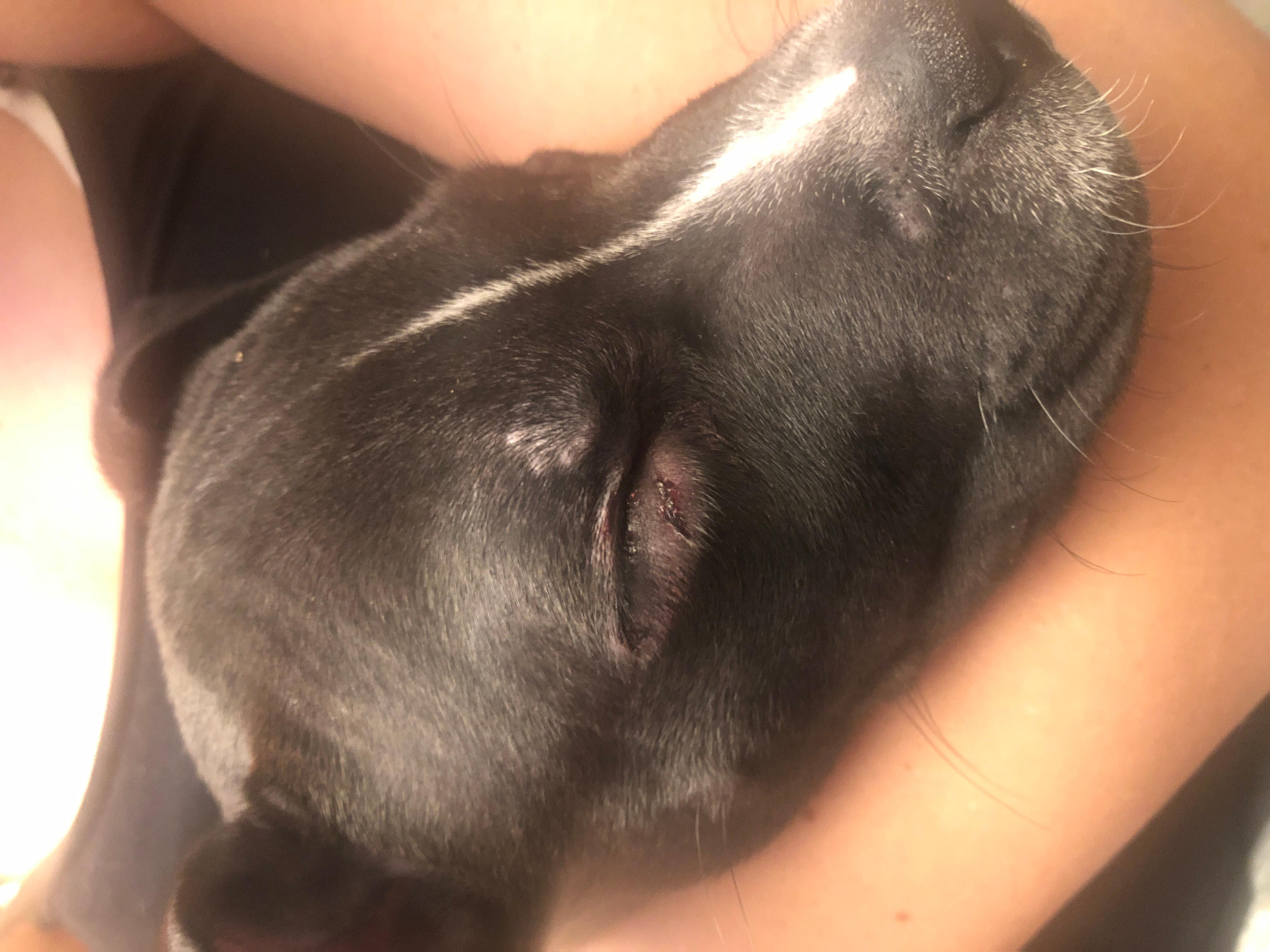 Question details sensitive content