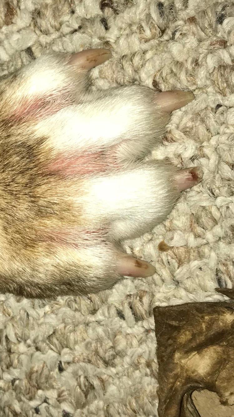 Question details sensitive content