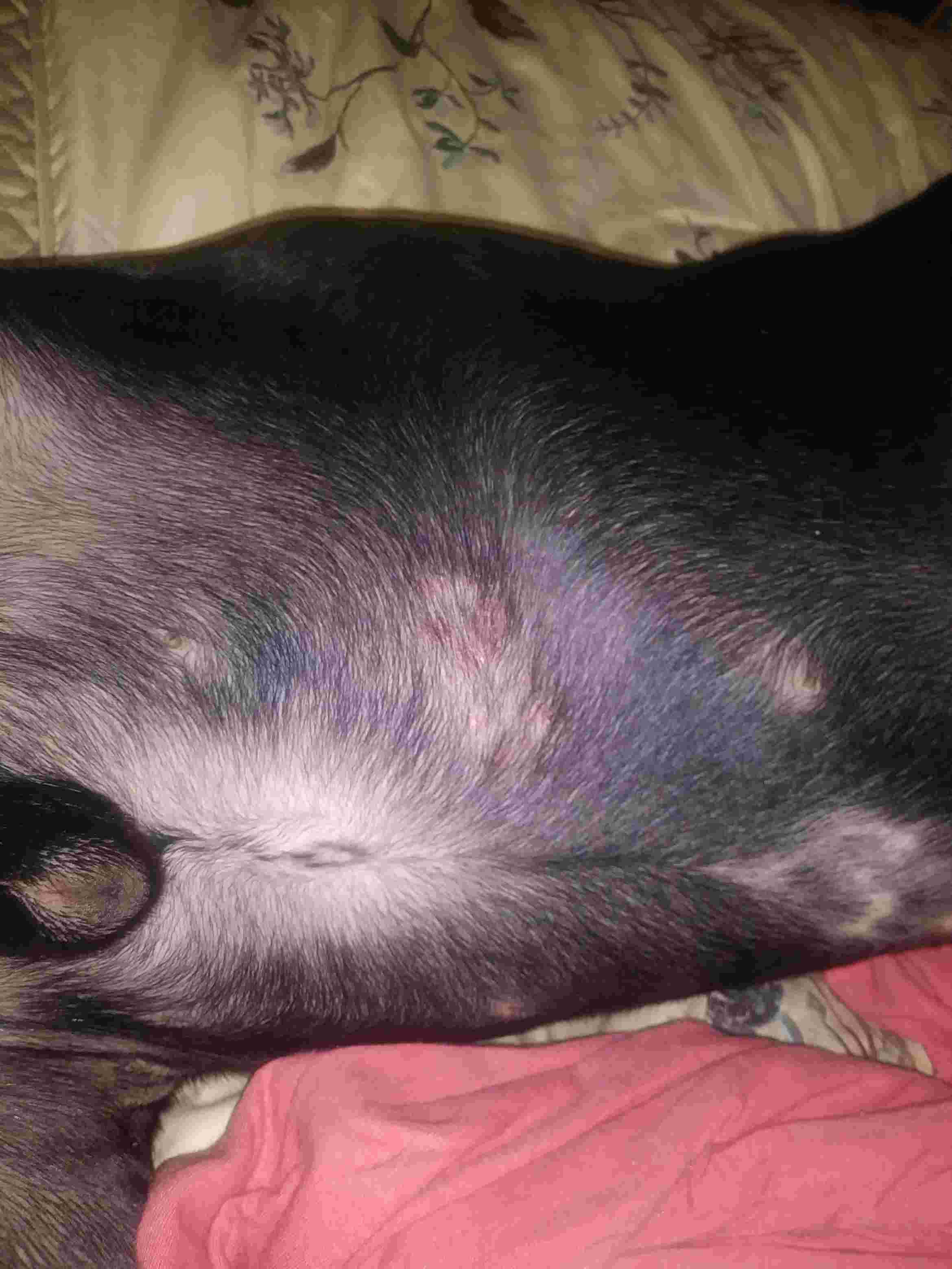 Question details sensitive content