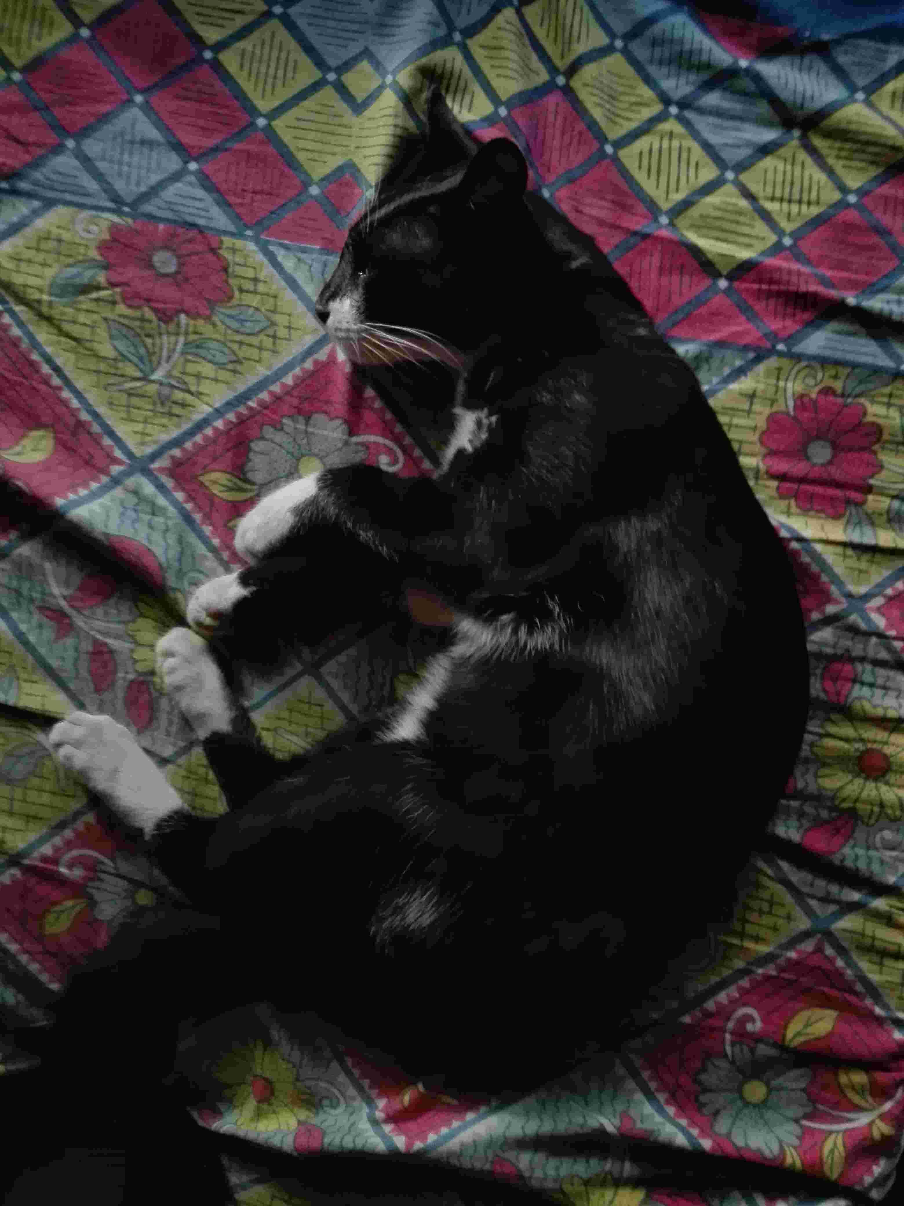 Question details sensitive content