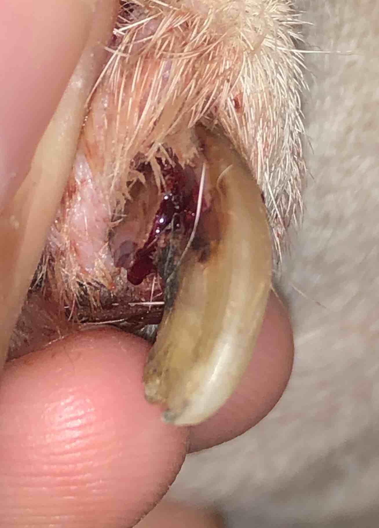 Question details sensitive content