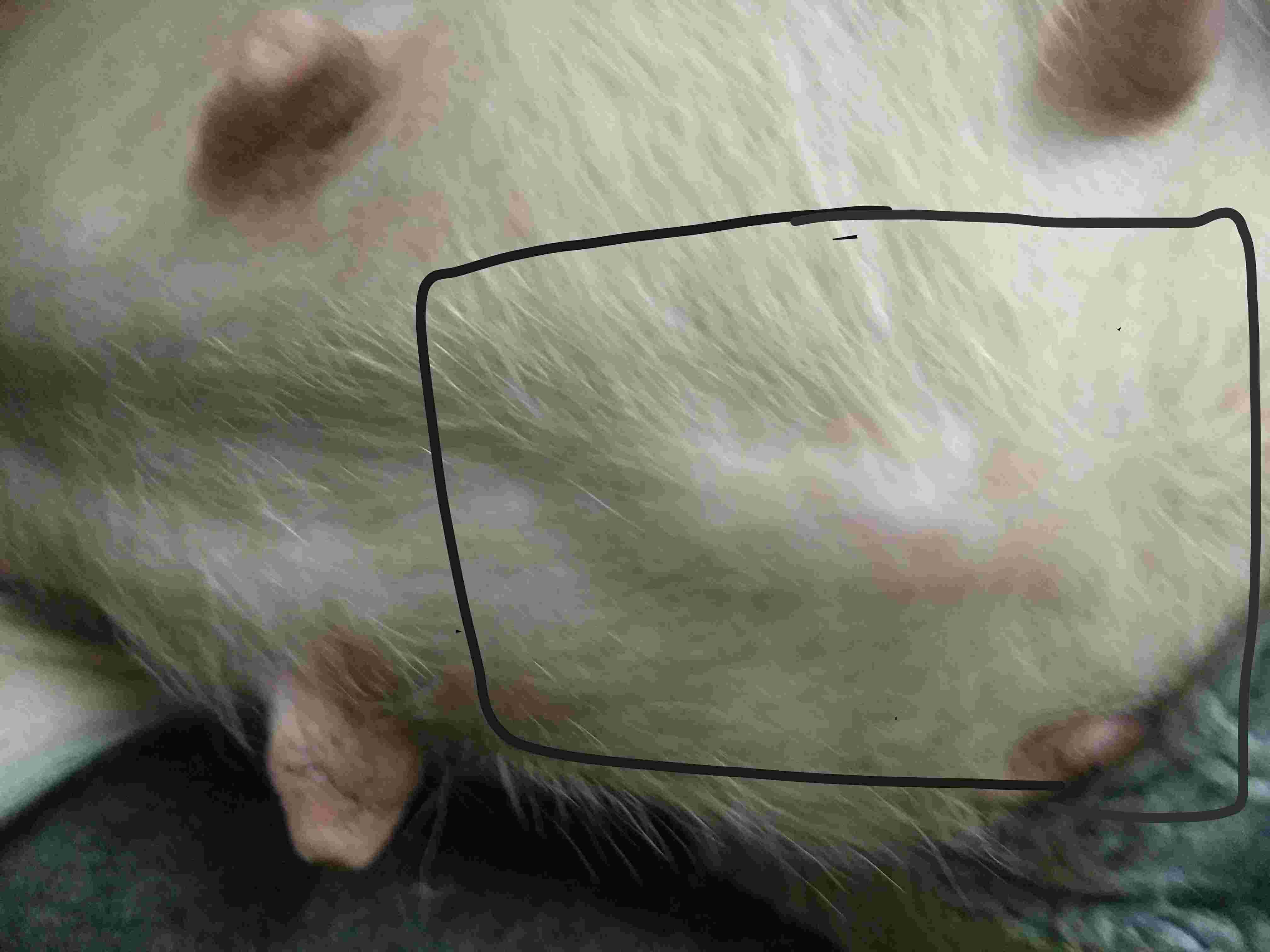 Question details sensitive content