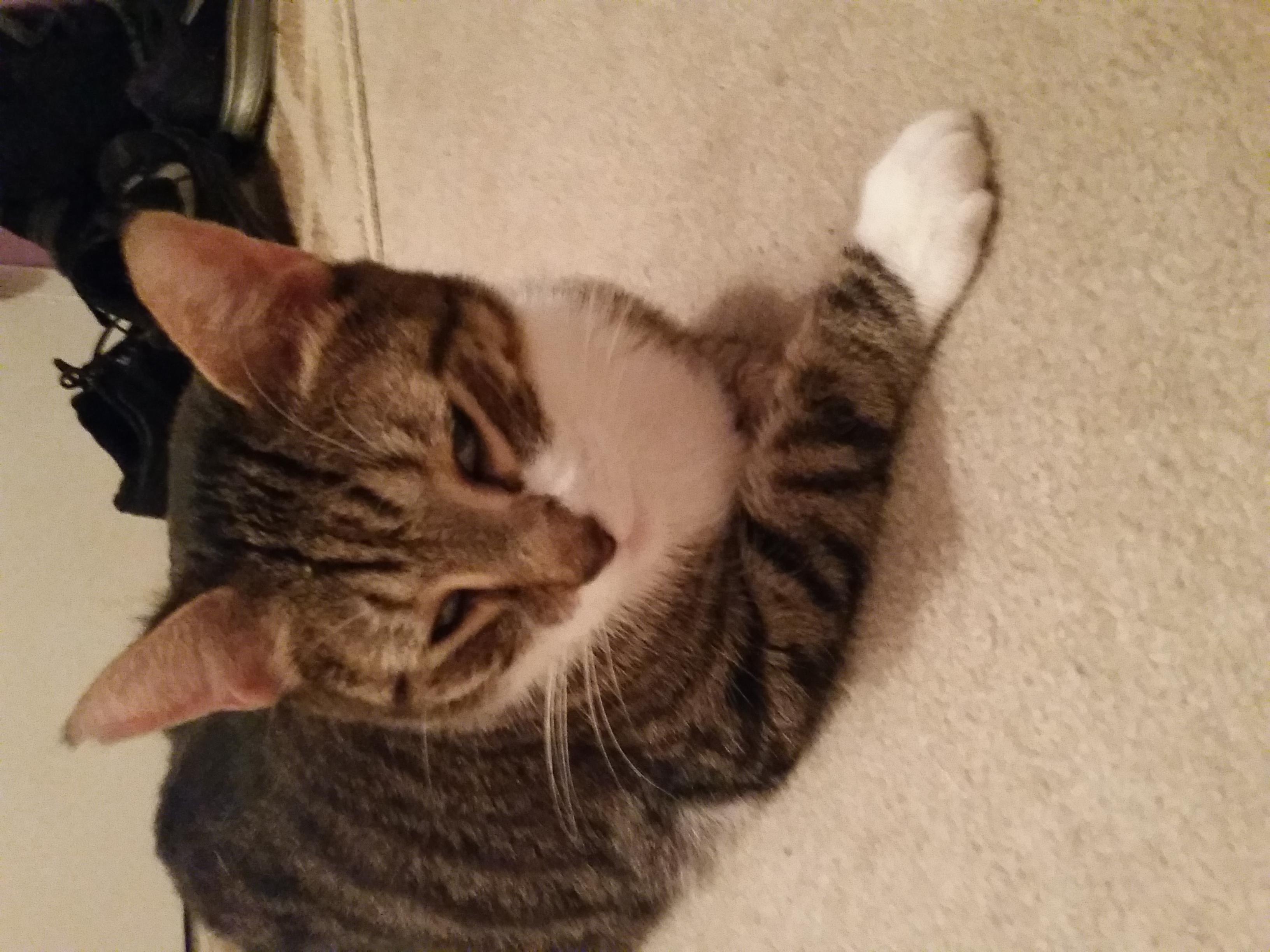 Question details sensitive content