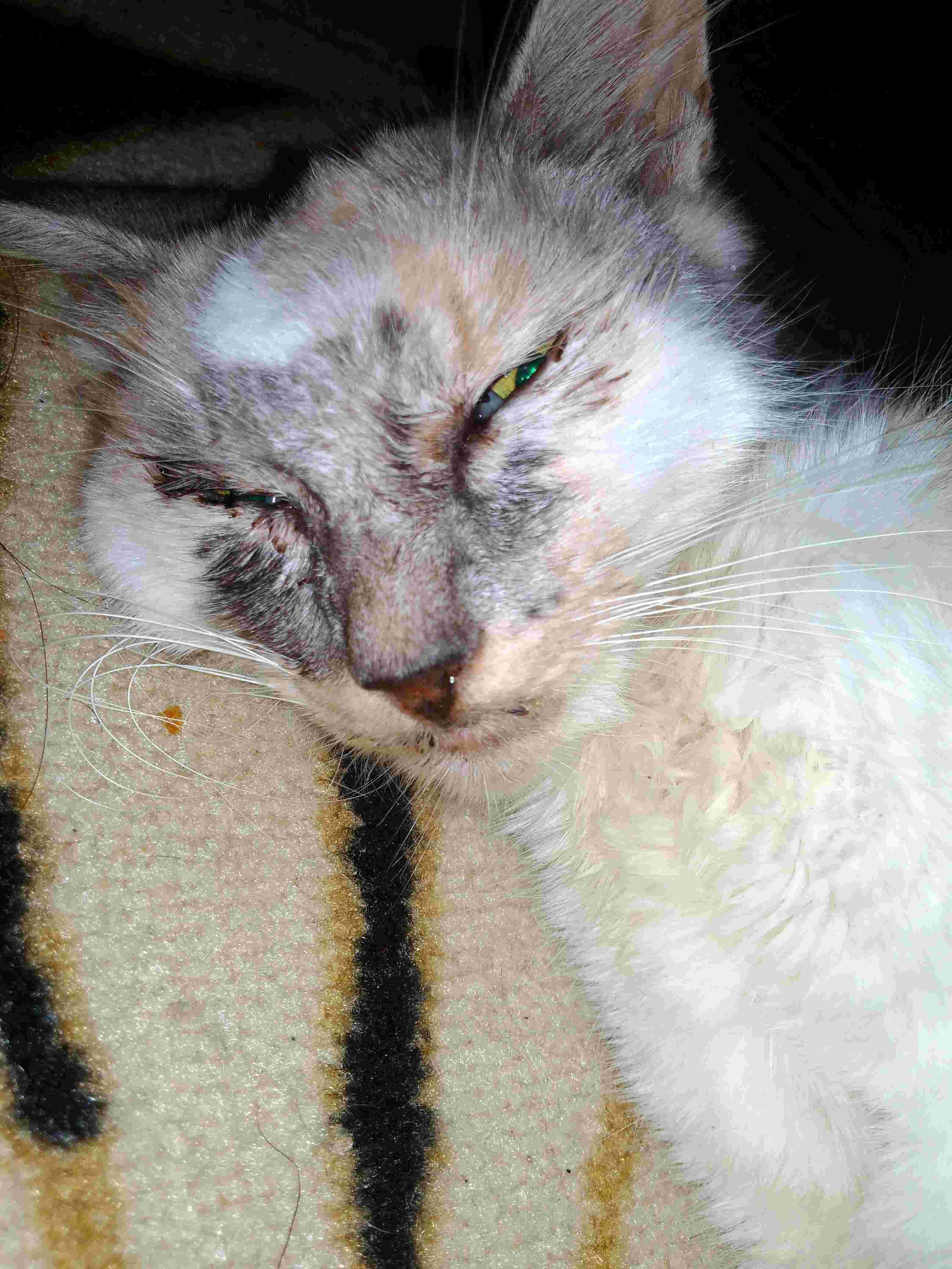 Question details sensitive content