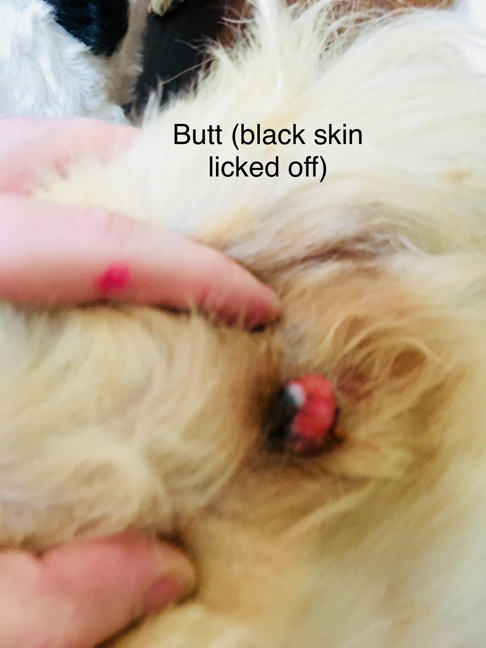 Question details sensitive content