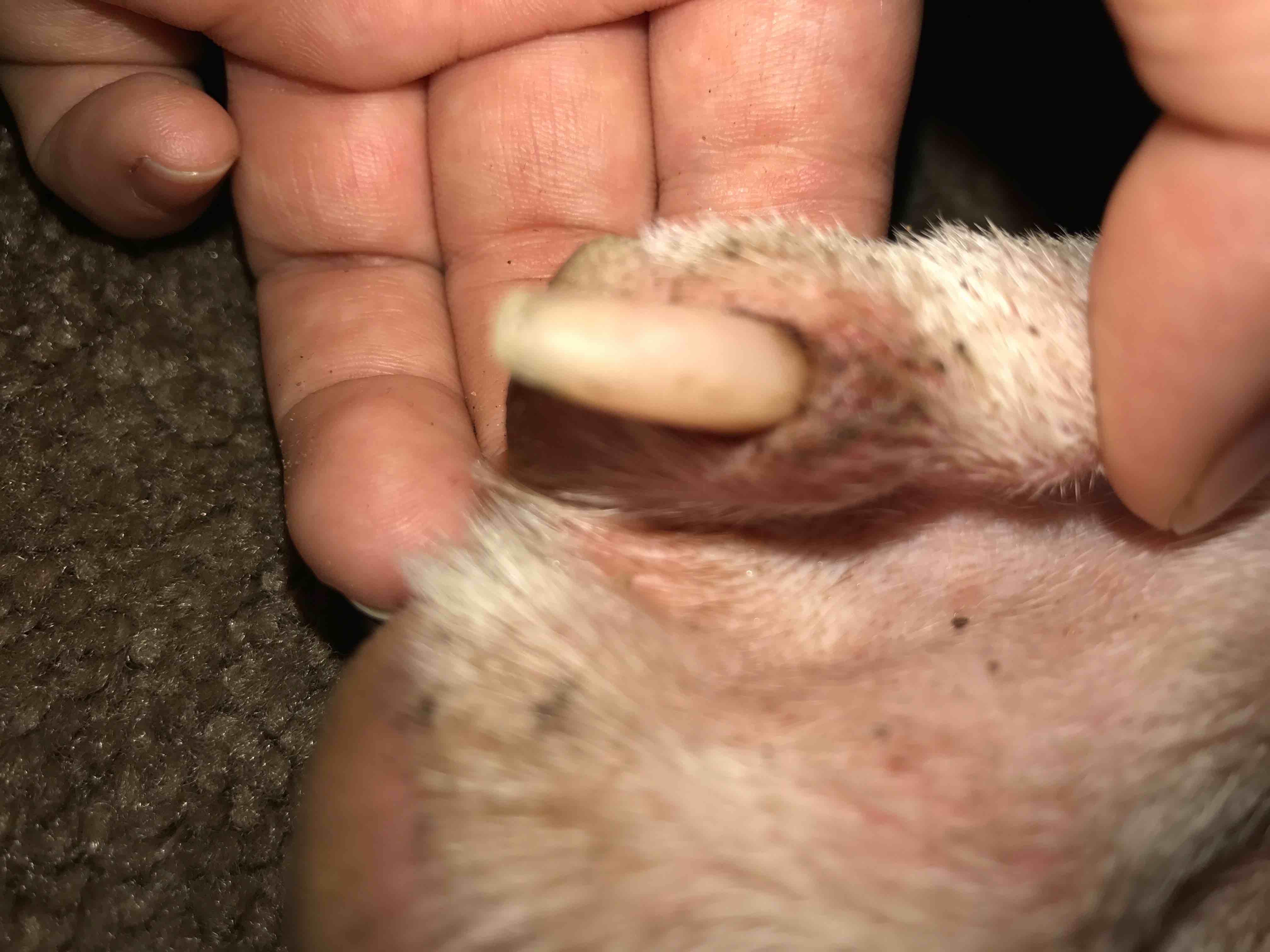 Question details sensitive content