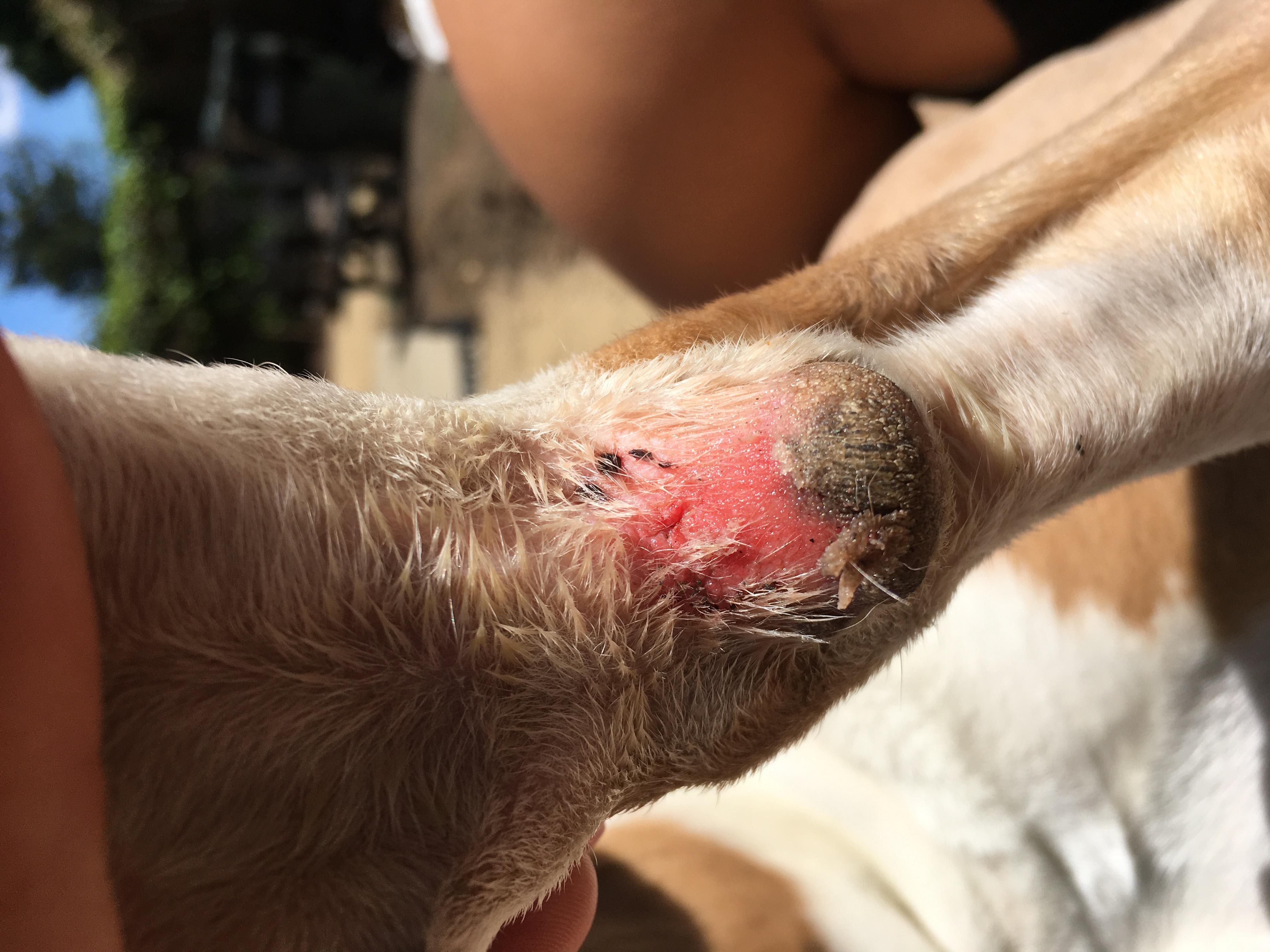 Question details sensitive content