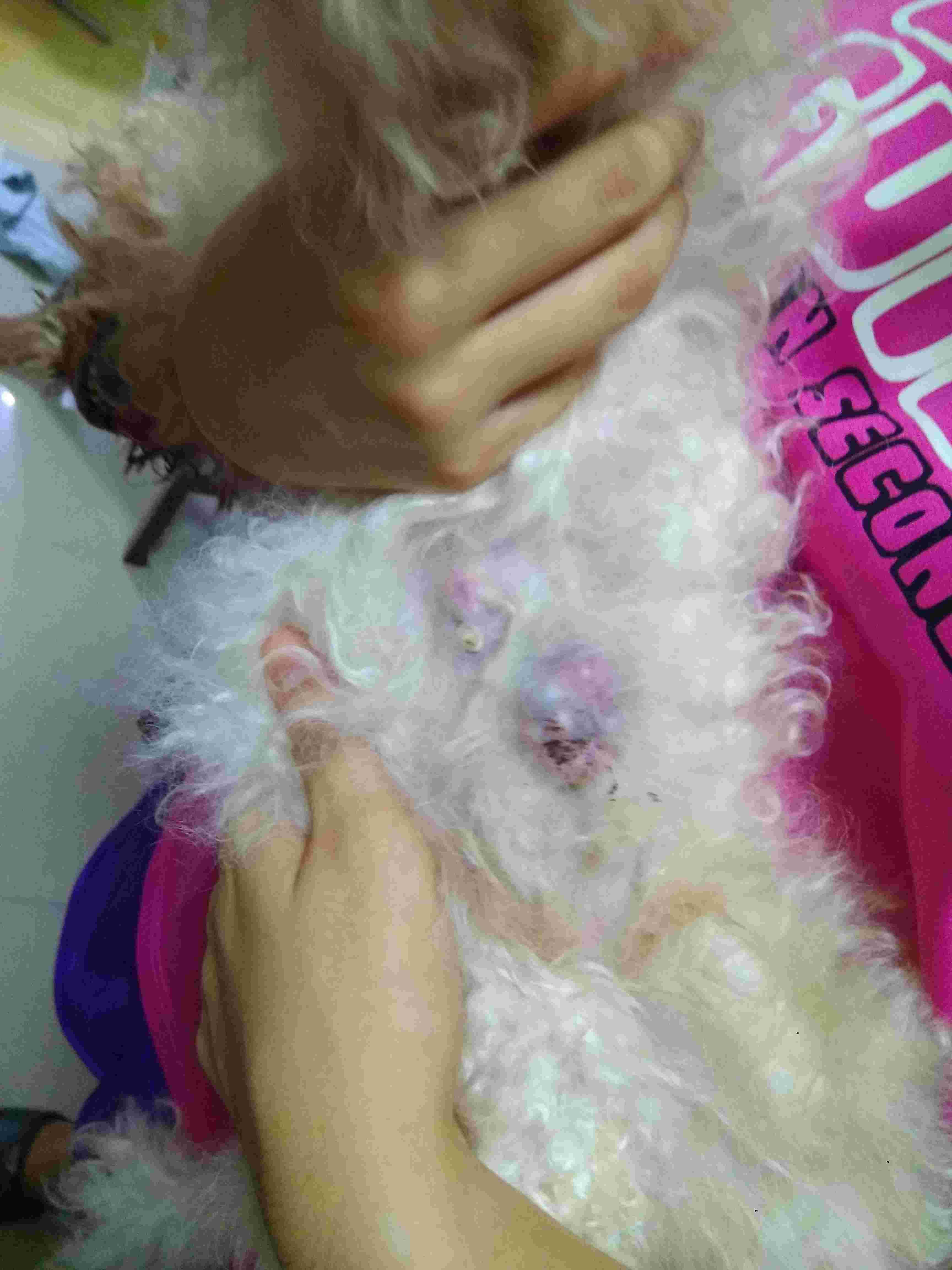 Question details sensitive content