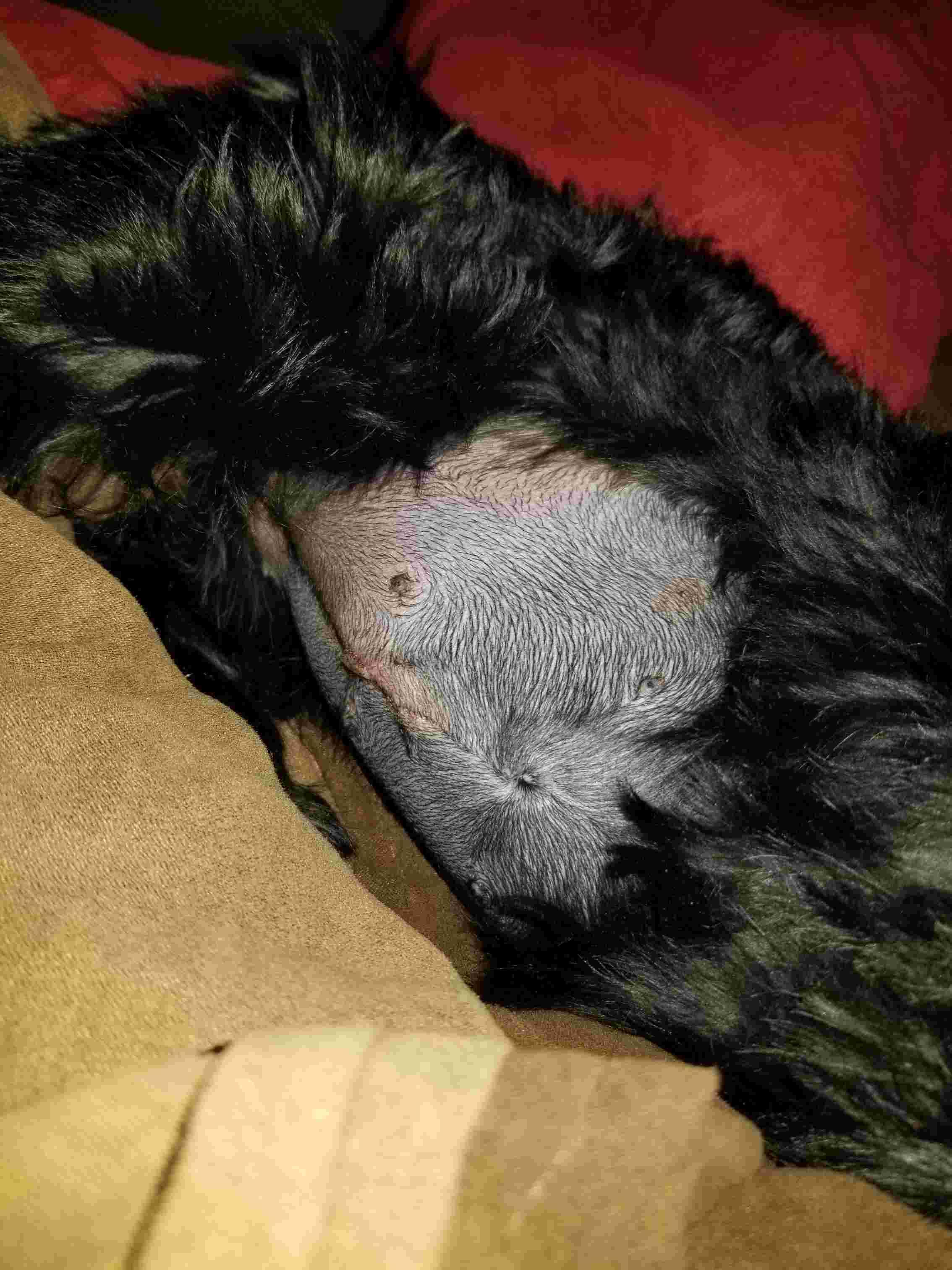 Question details sensitive content