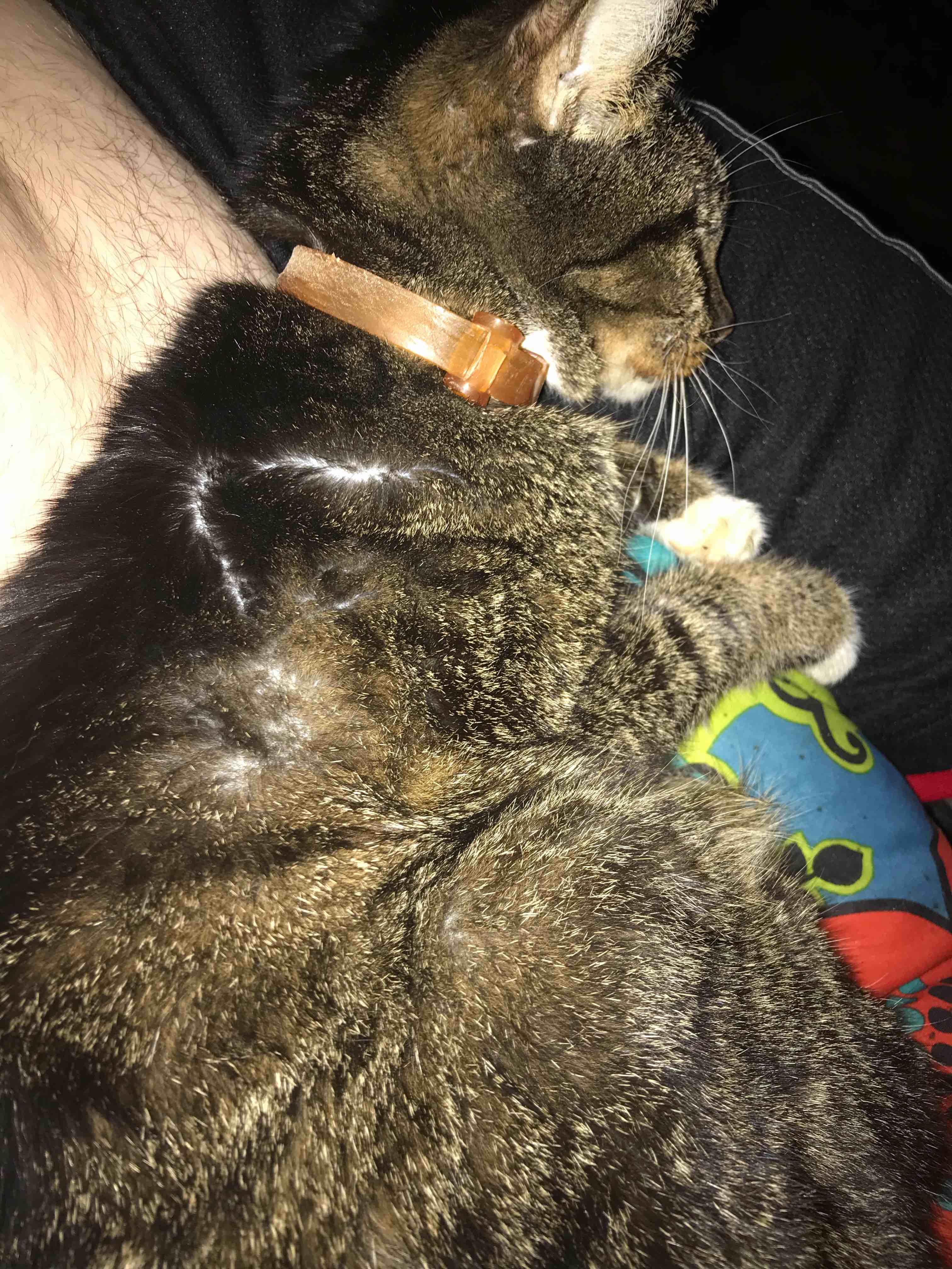 Question details sensitive content