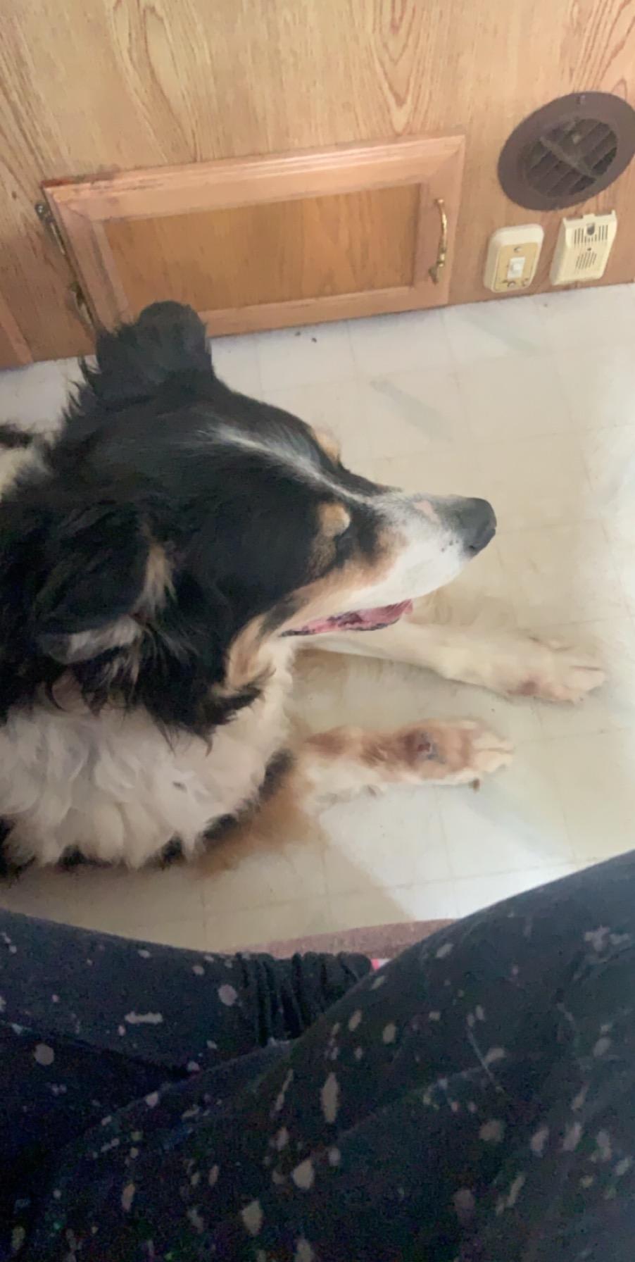 Question details sensitive content