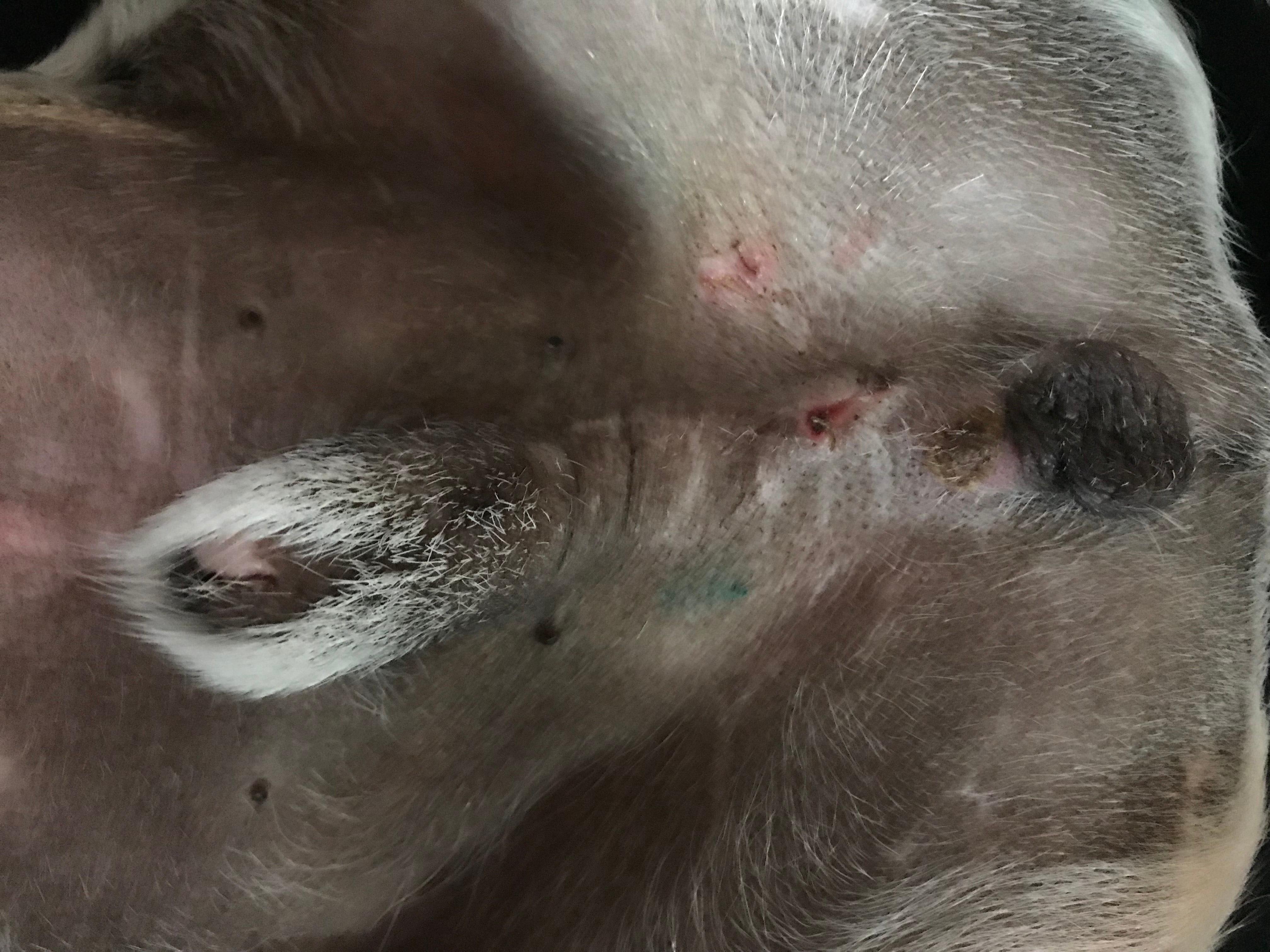 Question details sensitive content