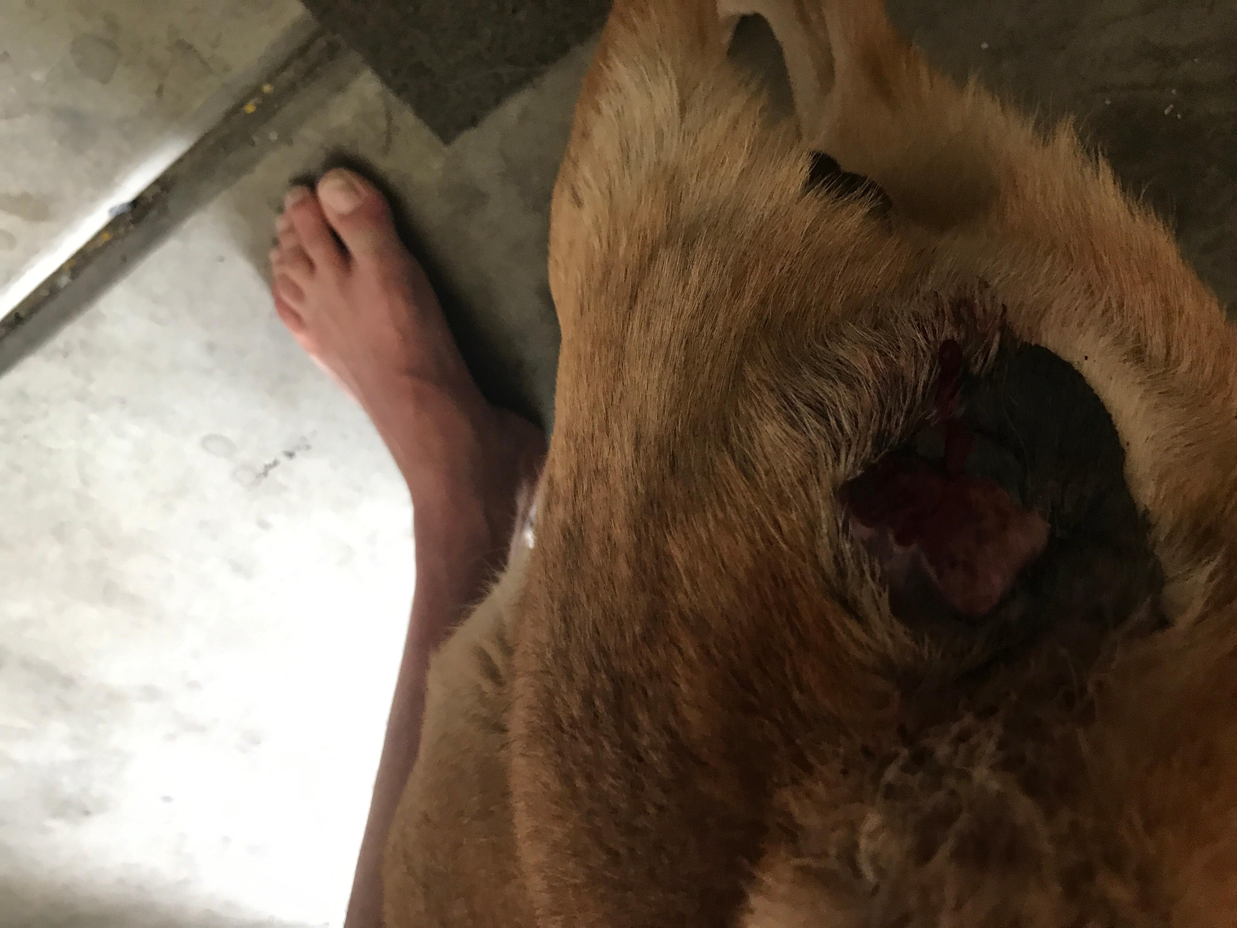 Question details sensitive content