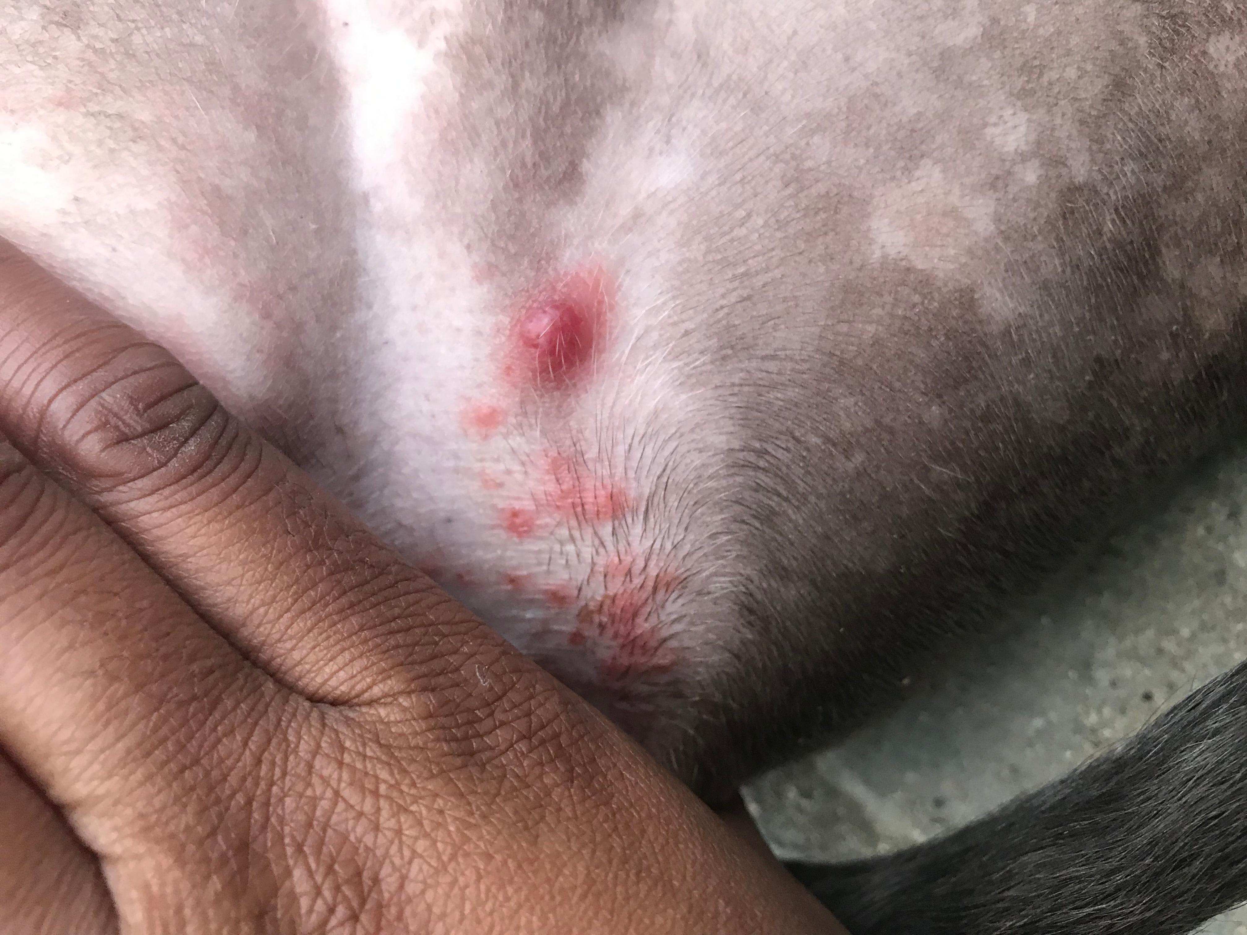 Question details sensitive content