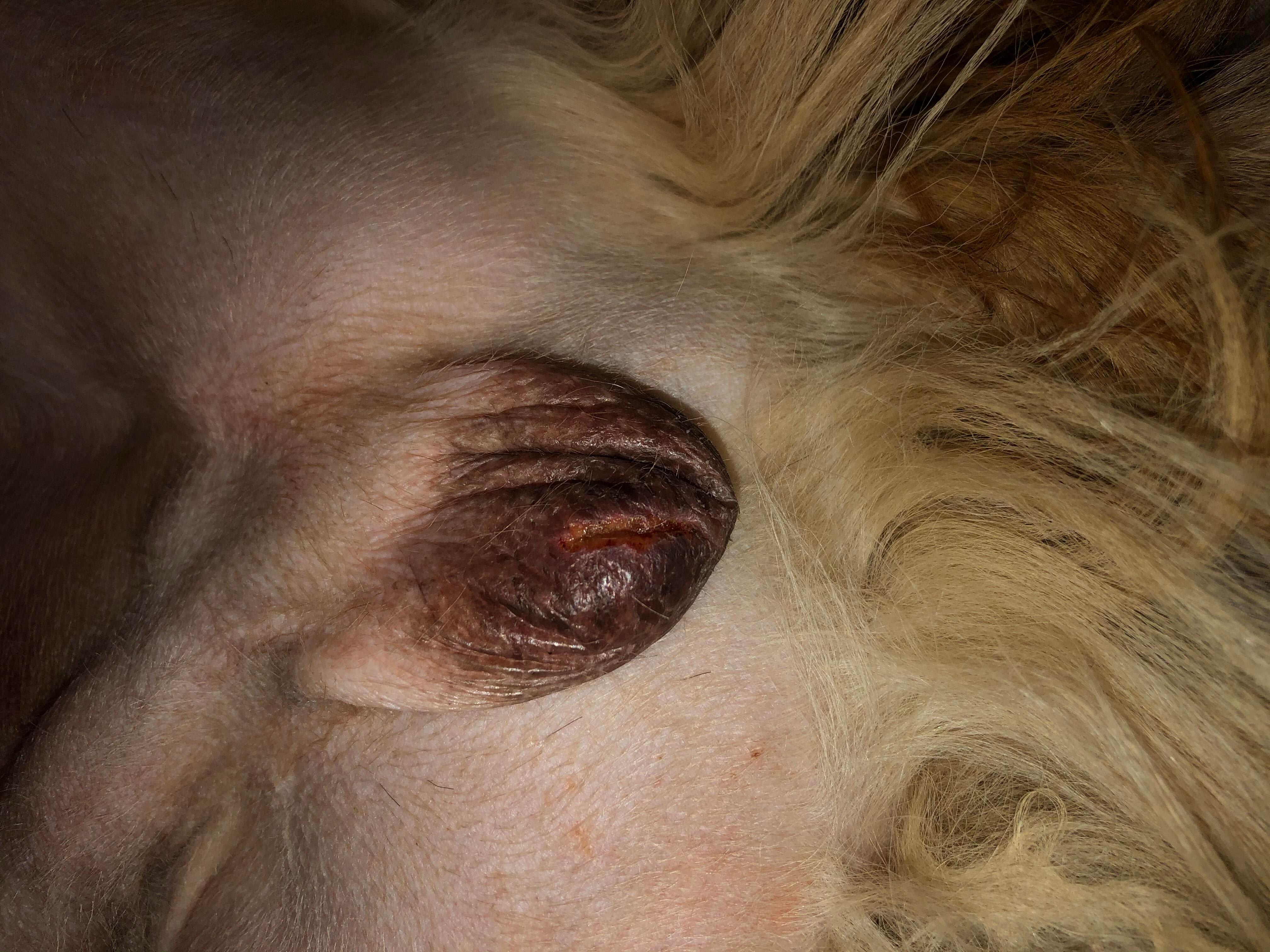 Question details sensitive content