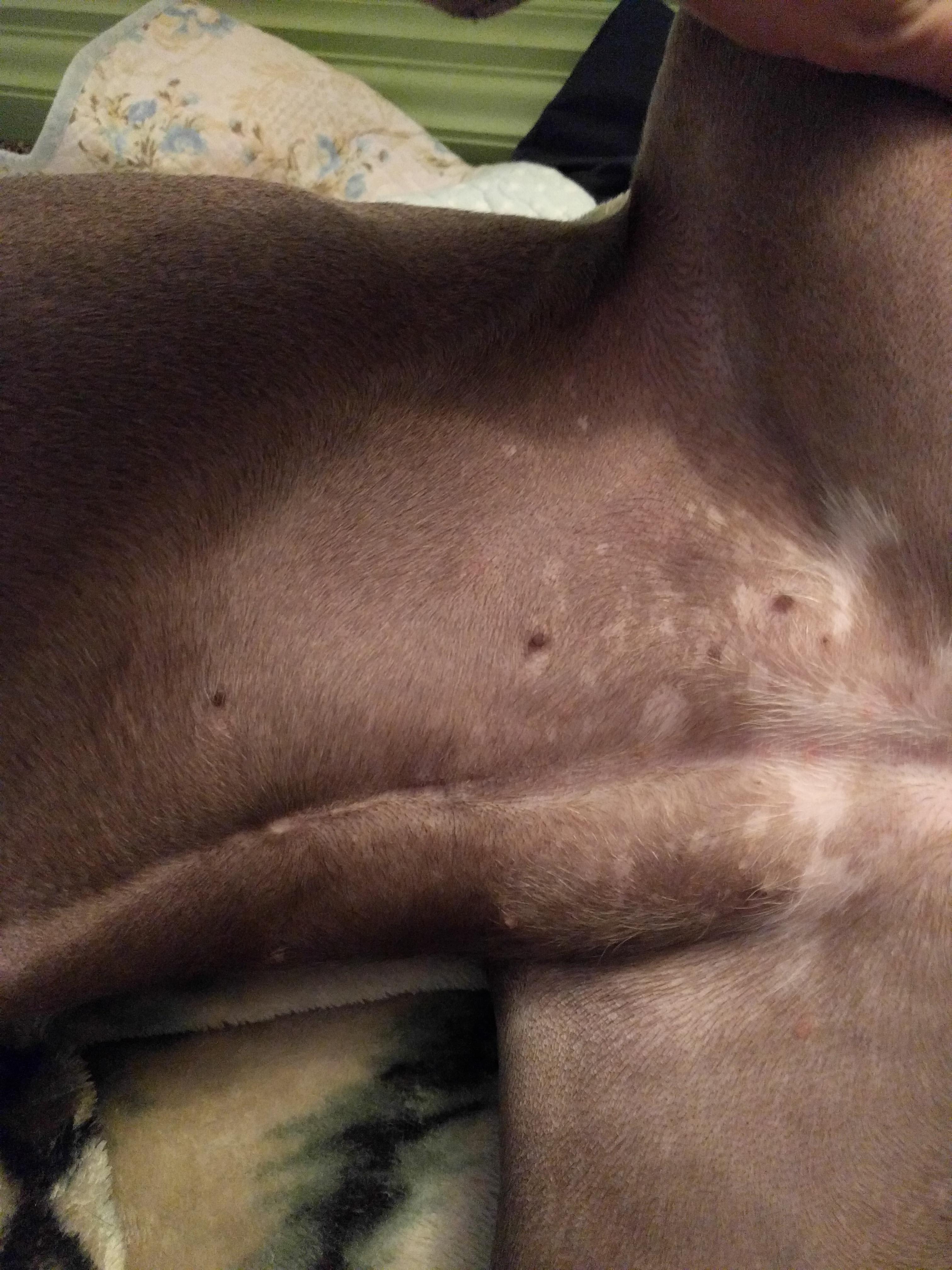 Question details sensitive content