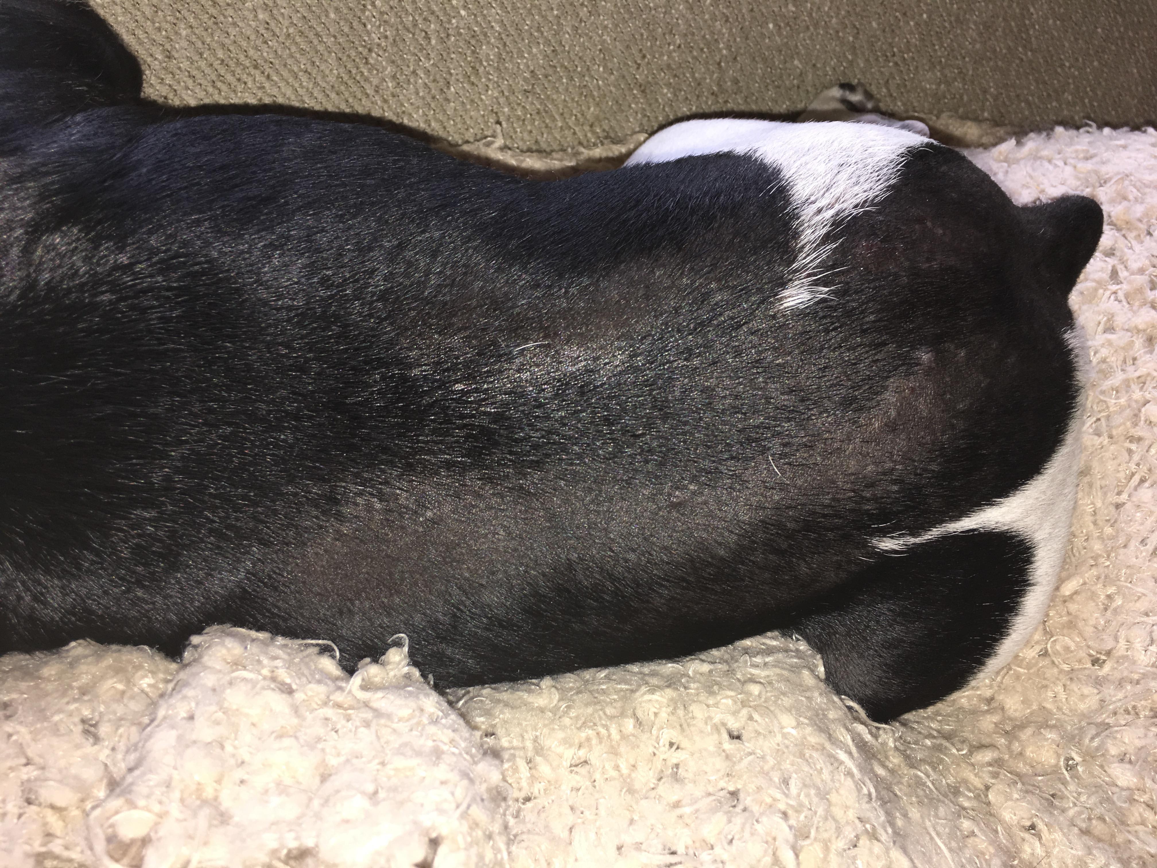 Question details sensitive content