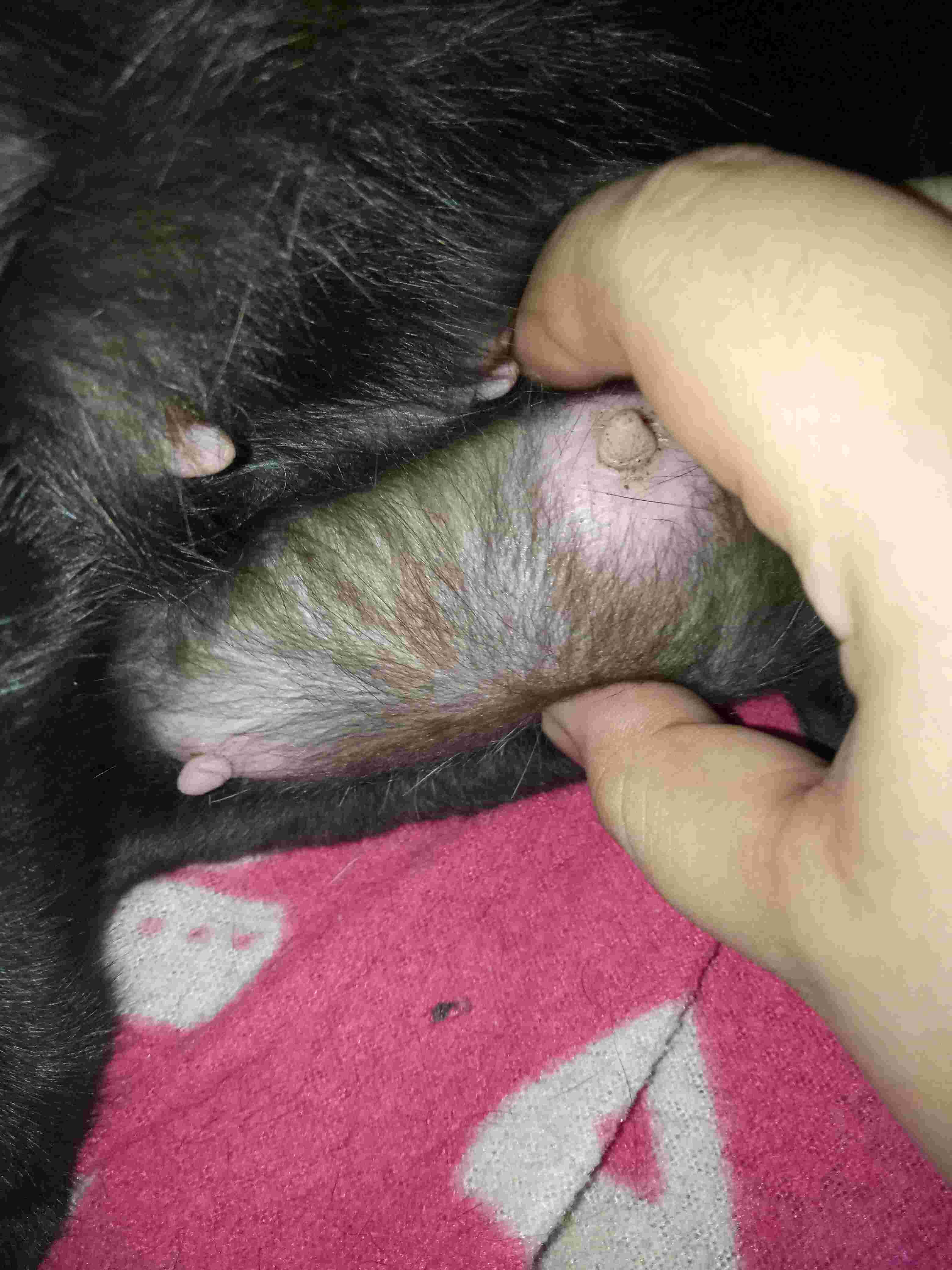 Question details sensitive content