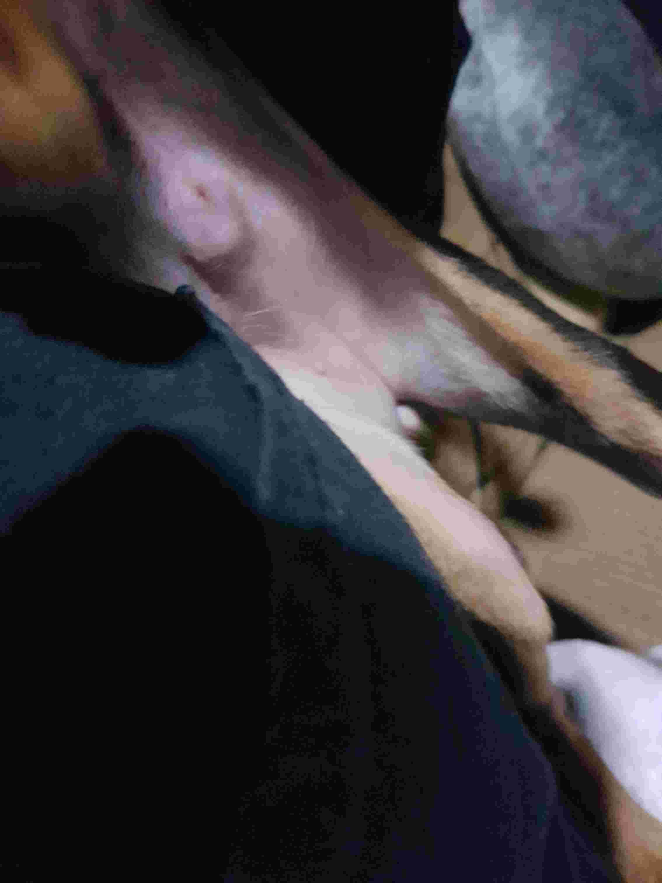 Question details sensitive content