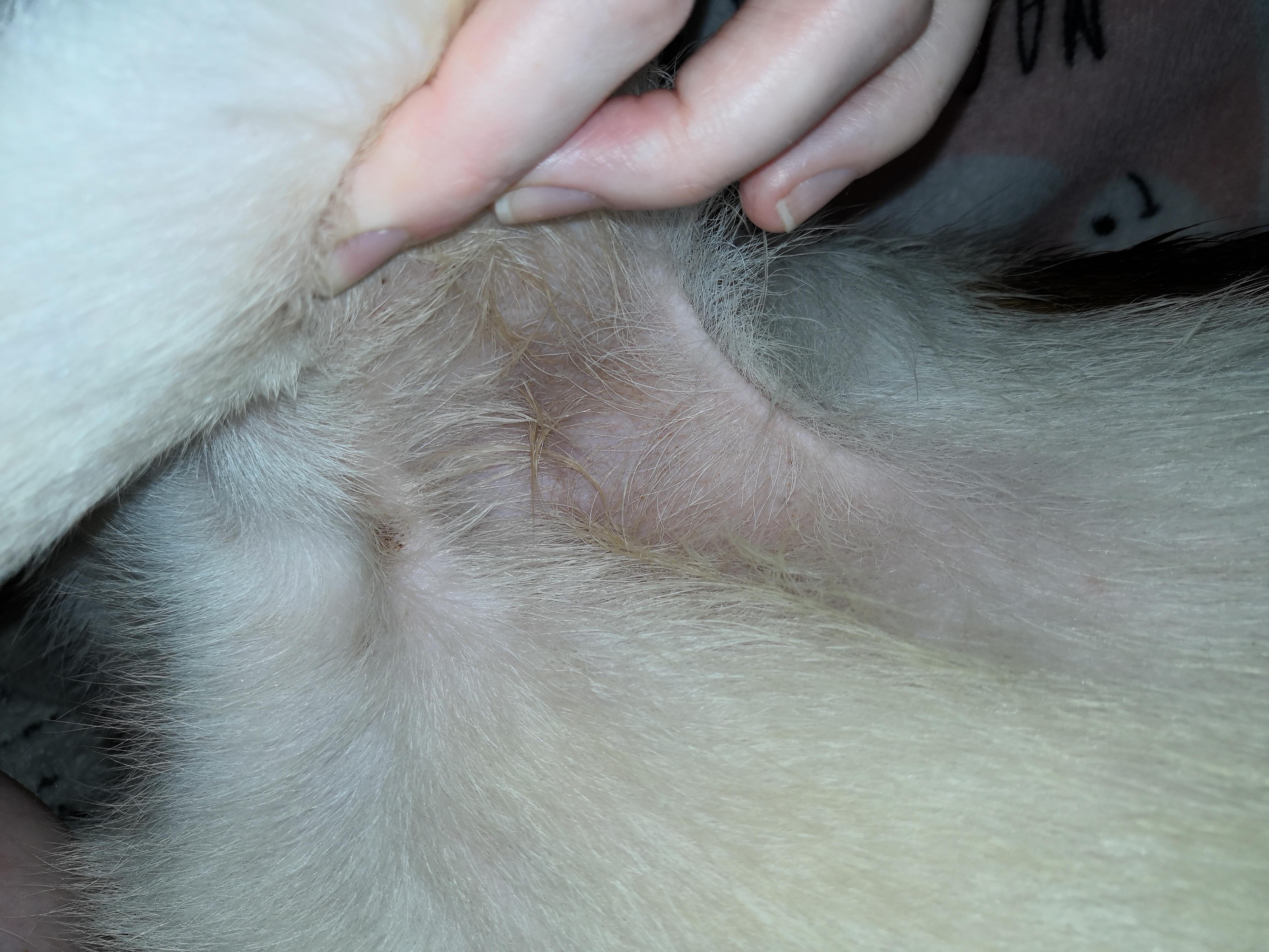 Question details sensitive content