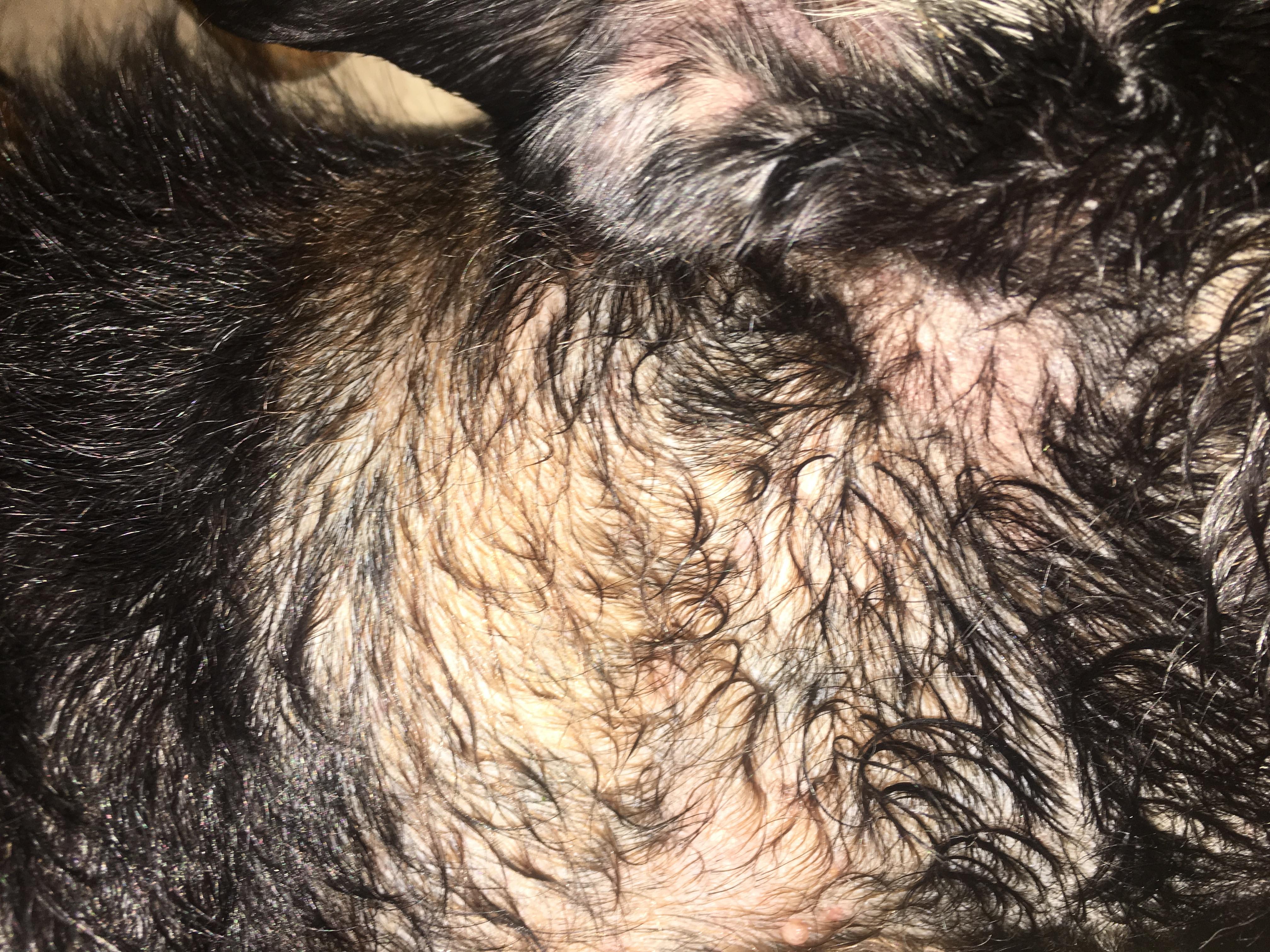 Question details sensitive content