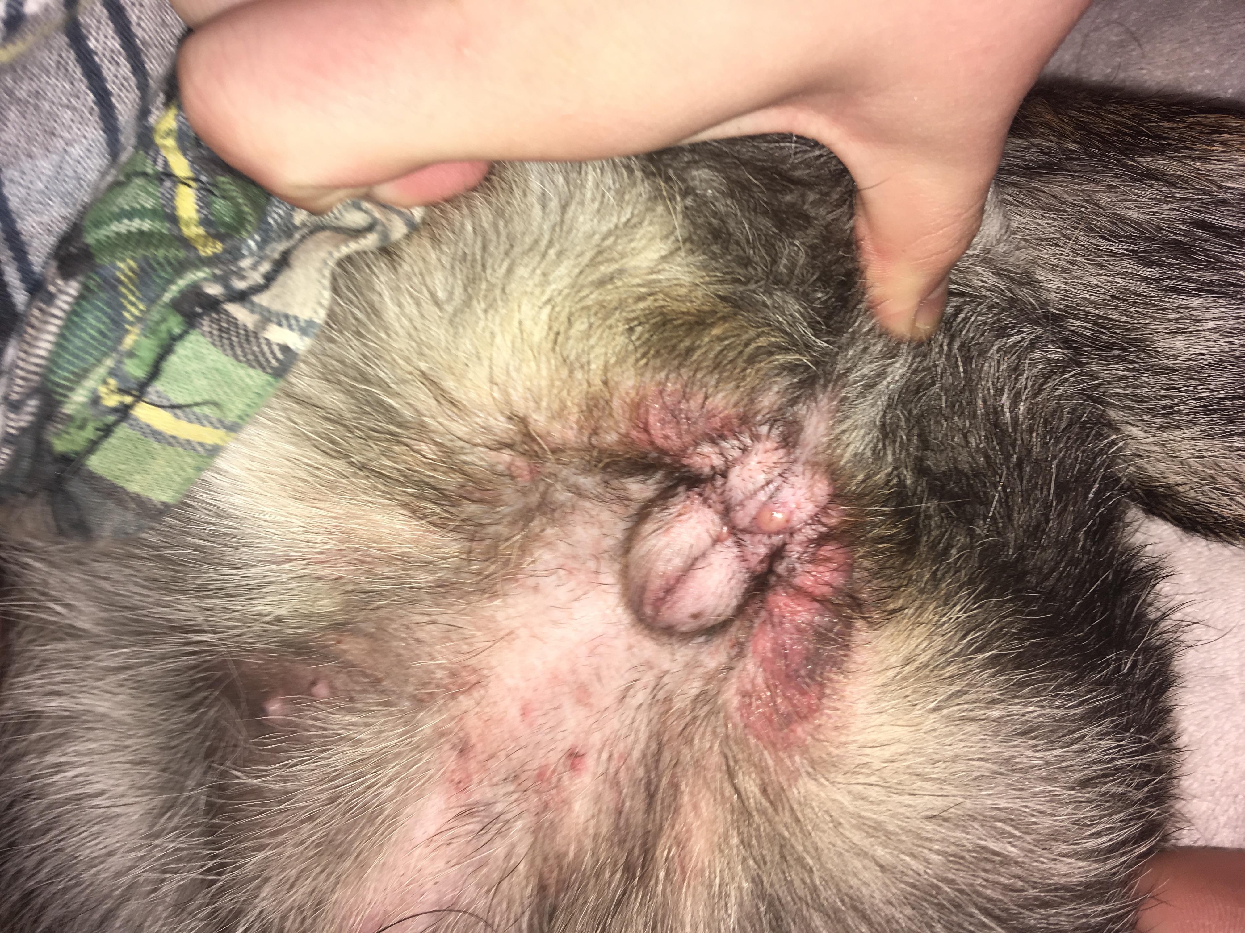 Question details sensitive content