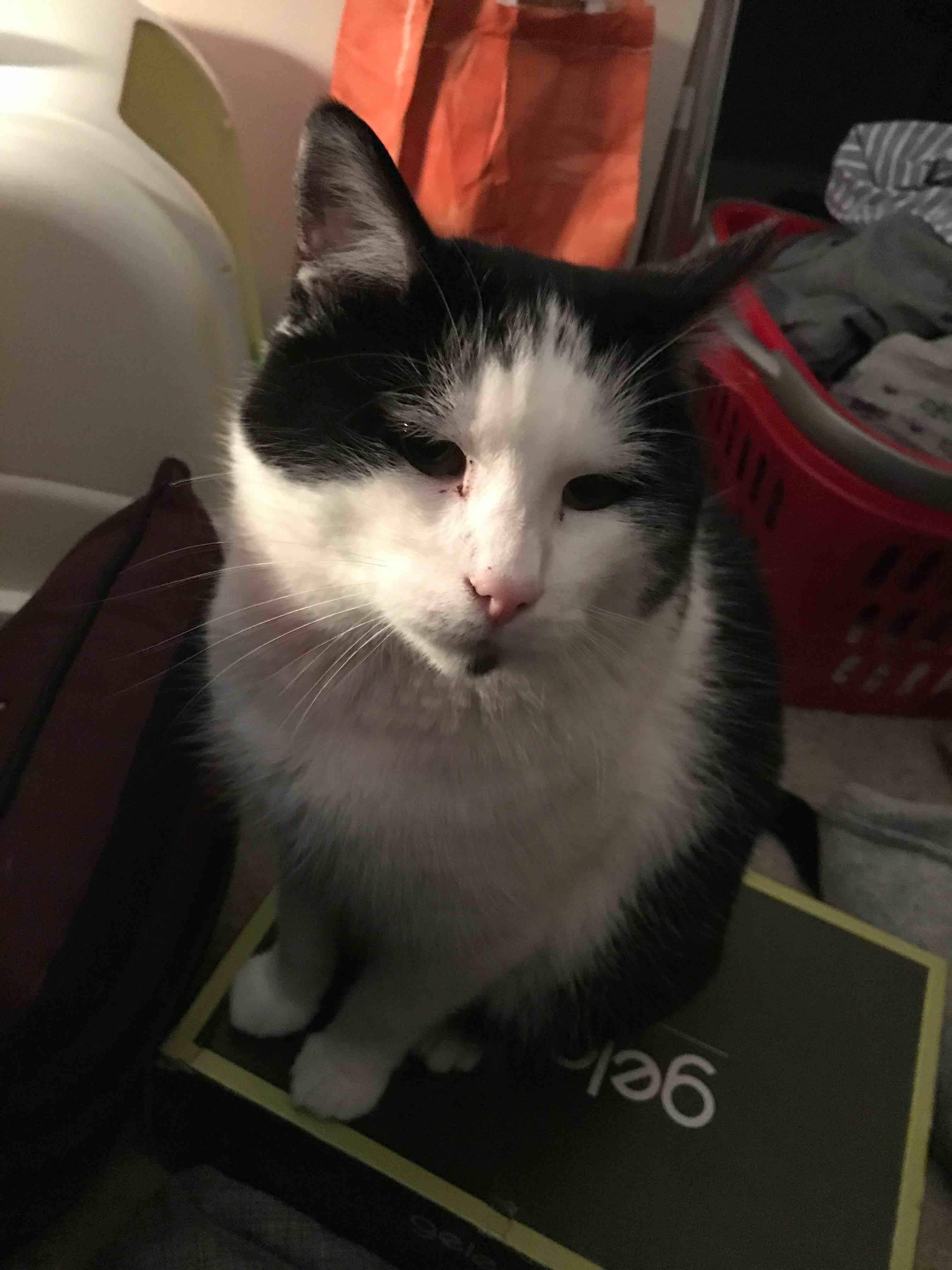 Question details sensitive content