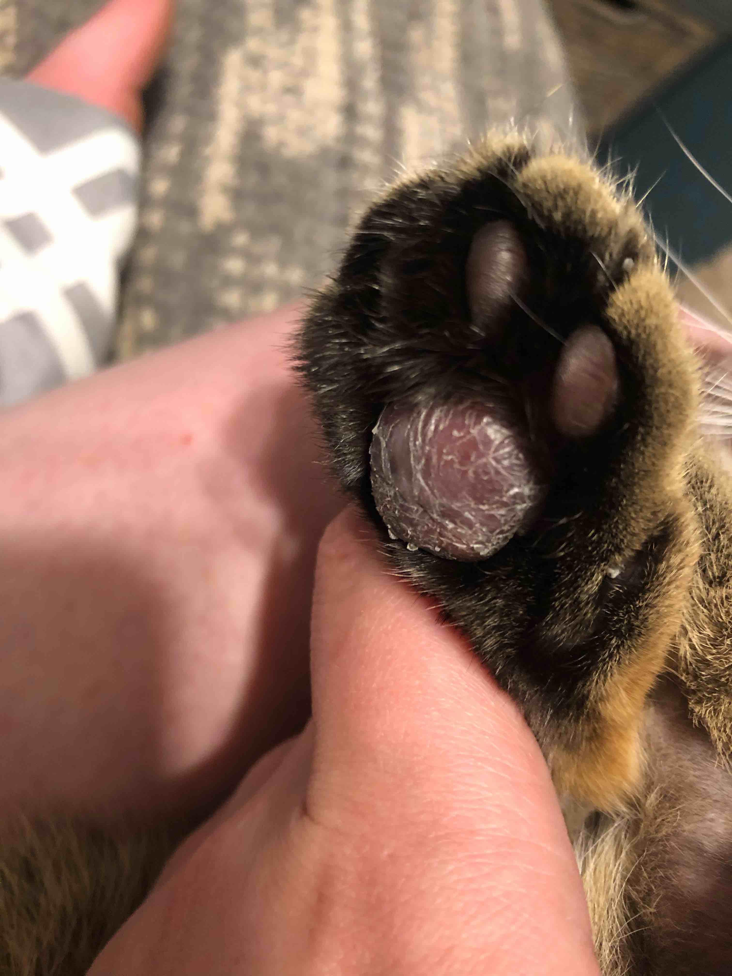 Question details sensitive content