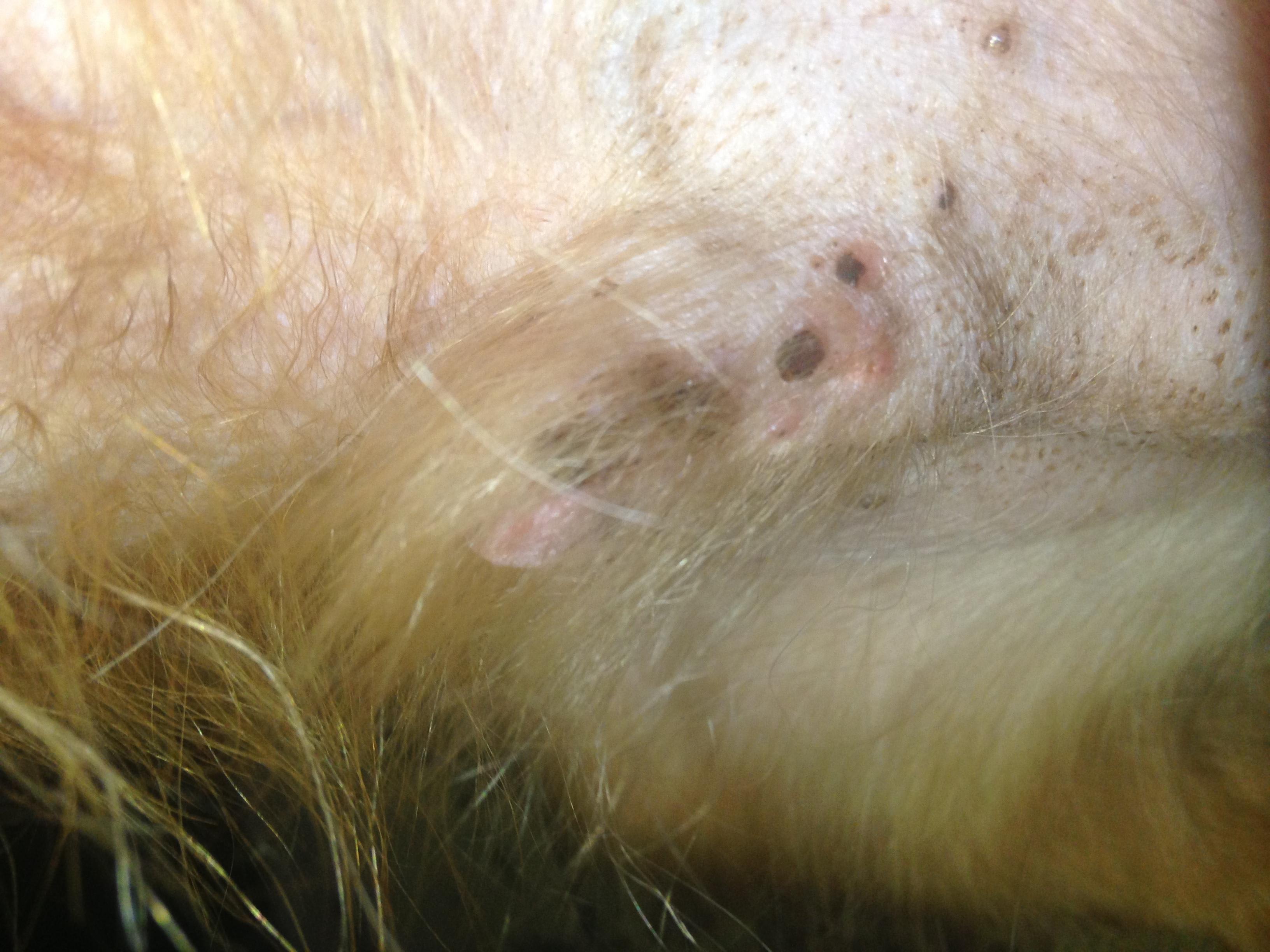 Question details sensitive content