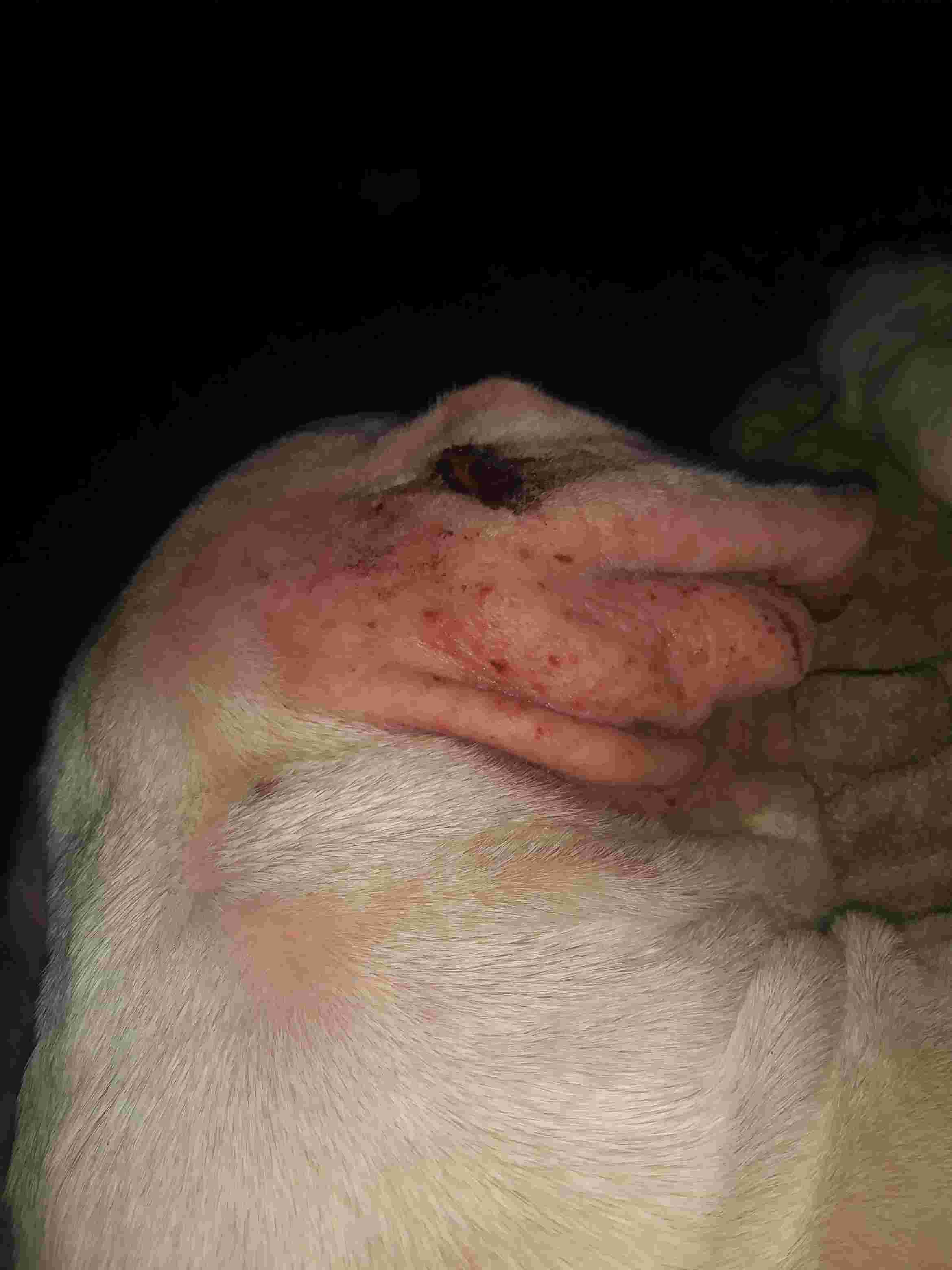 Question details sensitive content