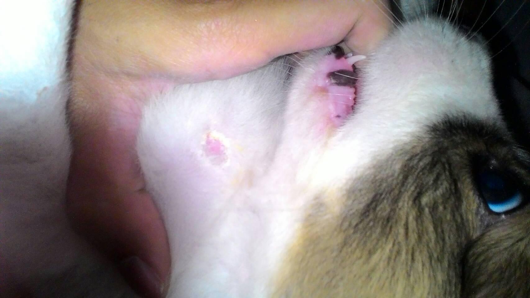 Question details sensitive content