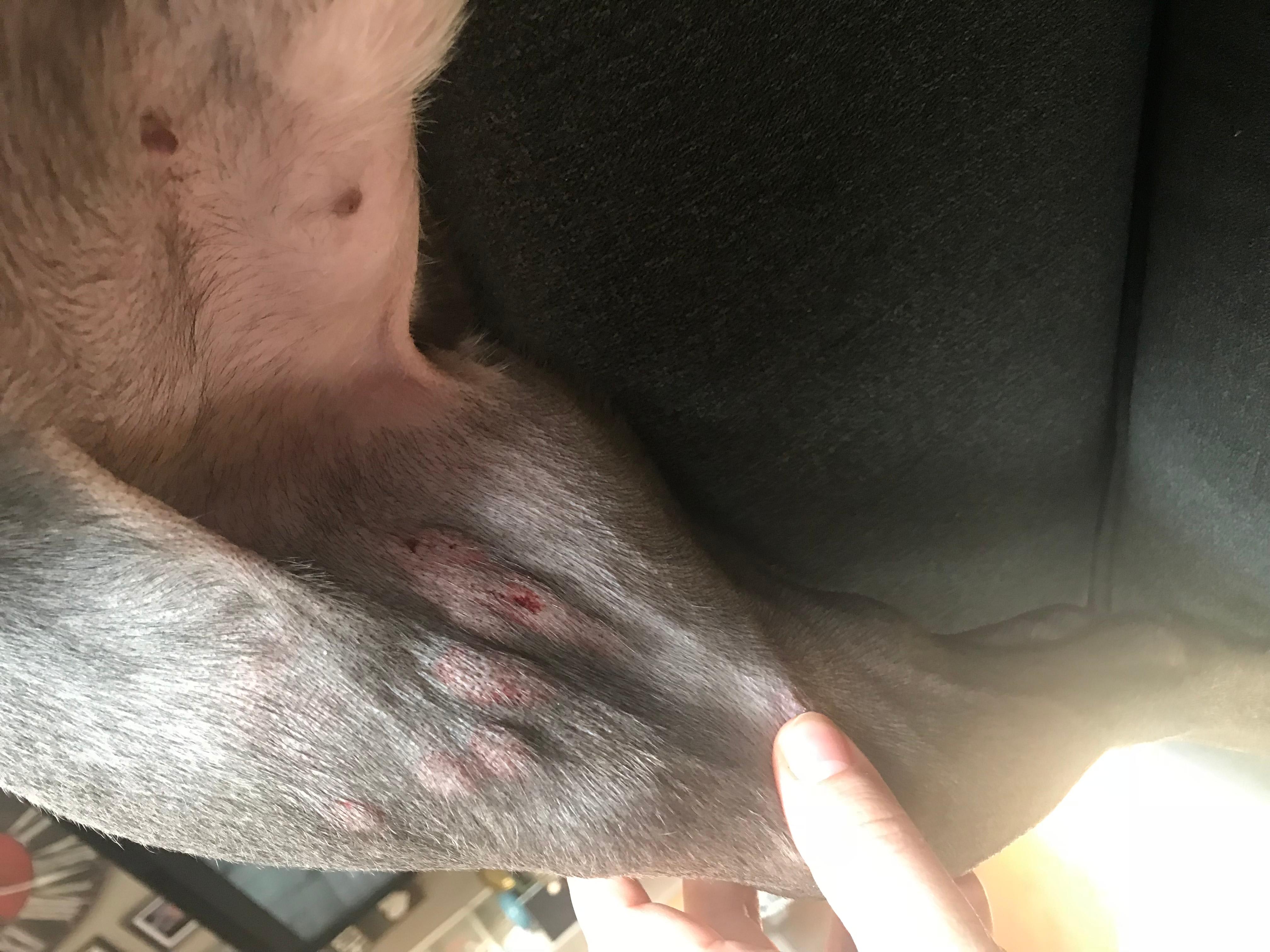 Question details sensitive content