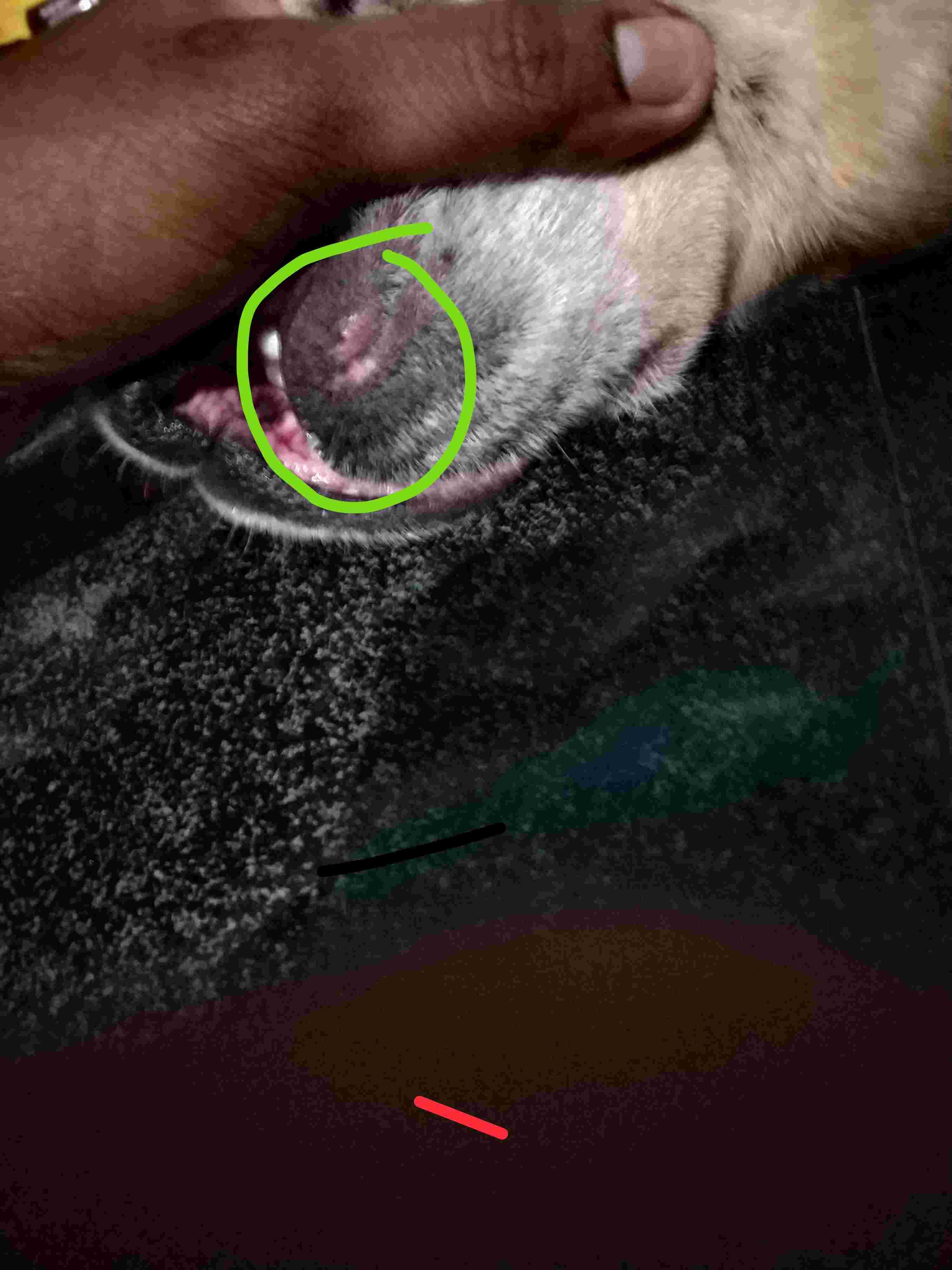 Question details sensitive content