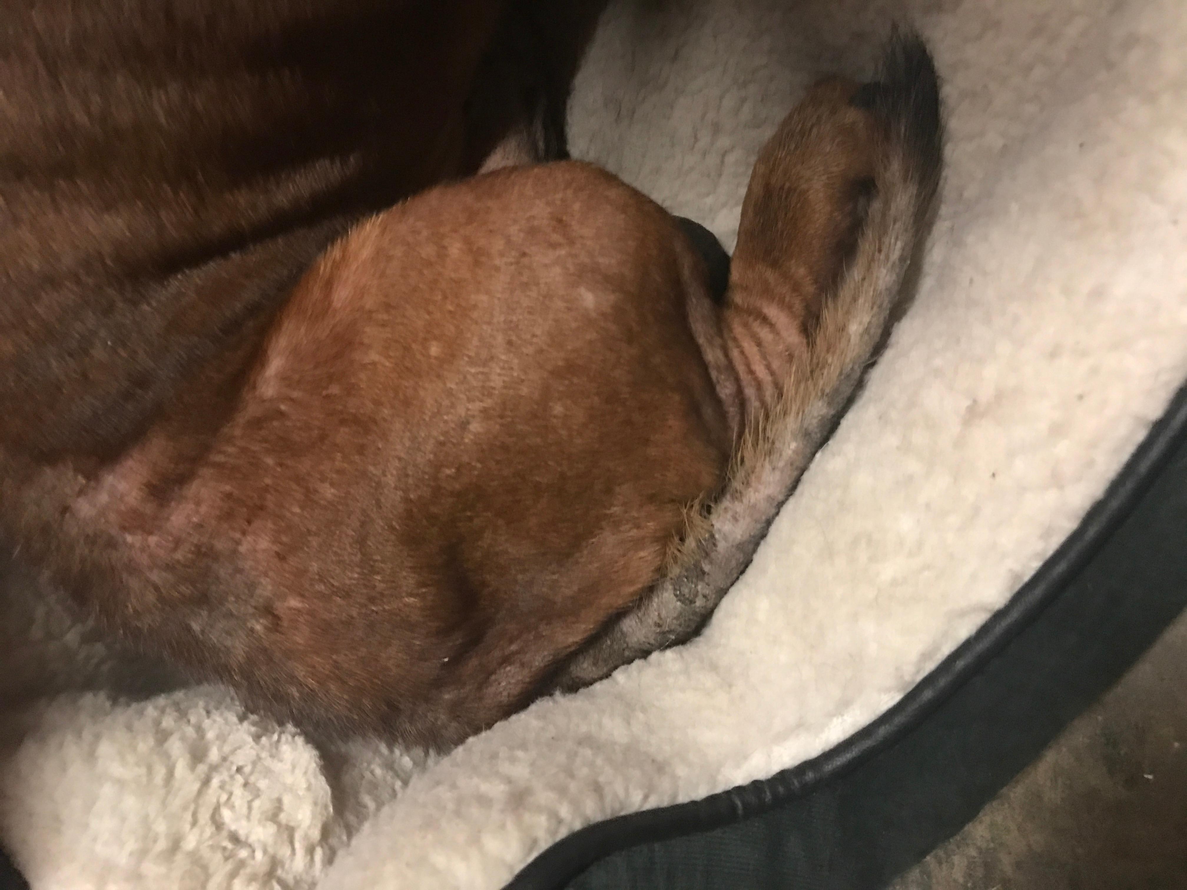 Question details sensitive content