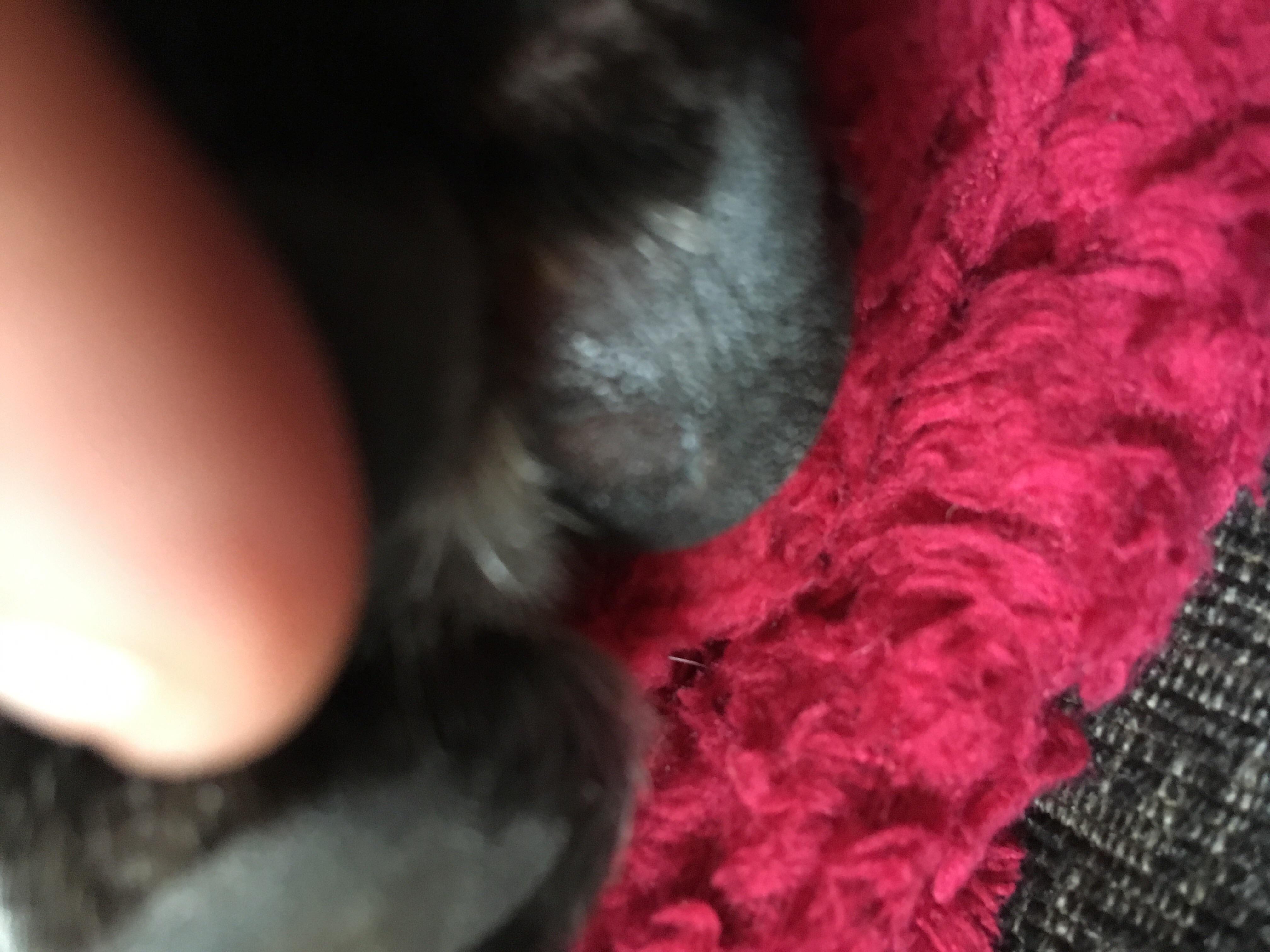 Question details sensitive content