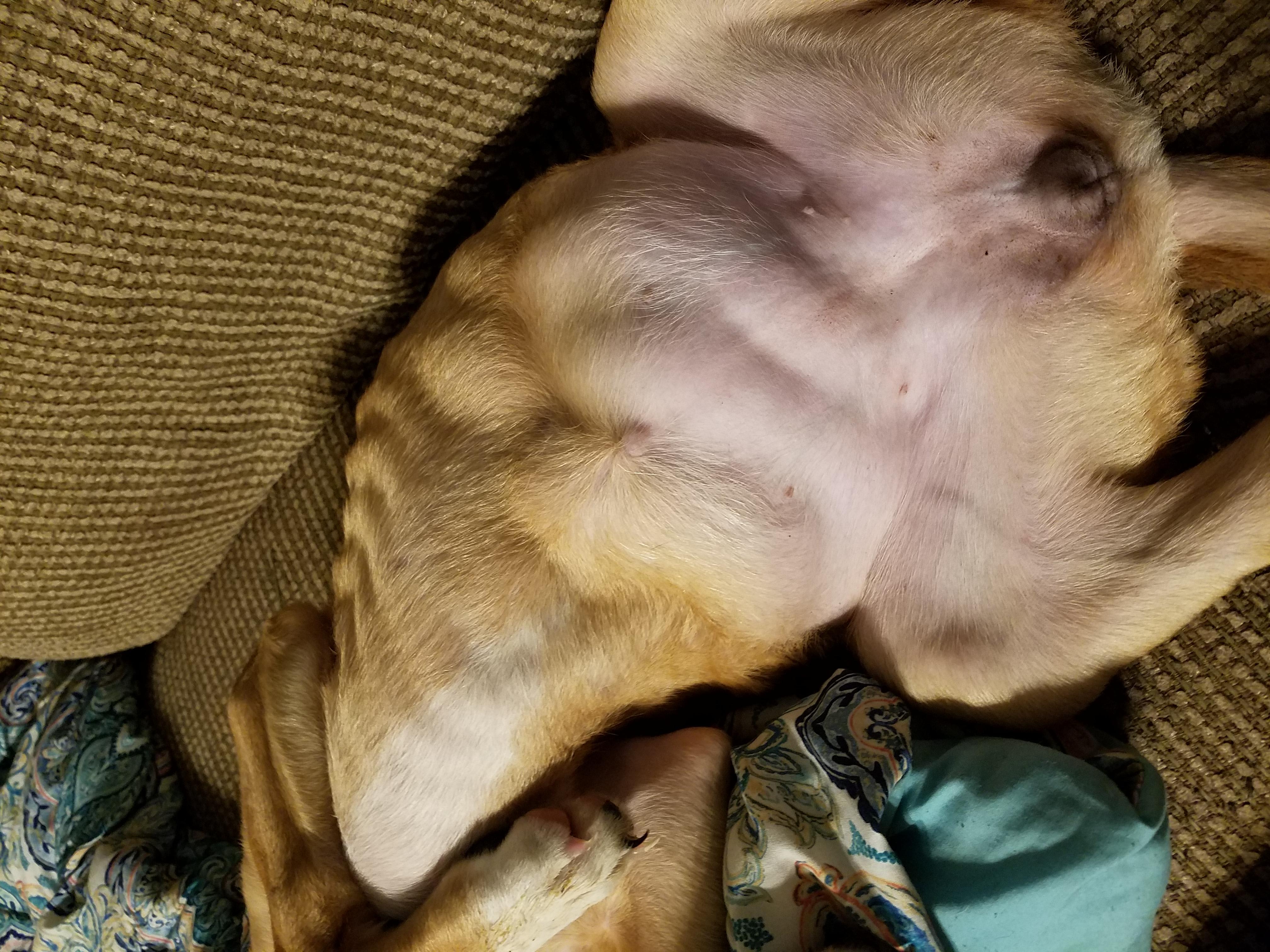 Question details sensitive content