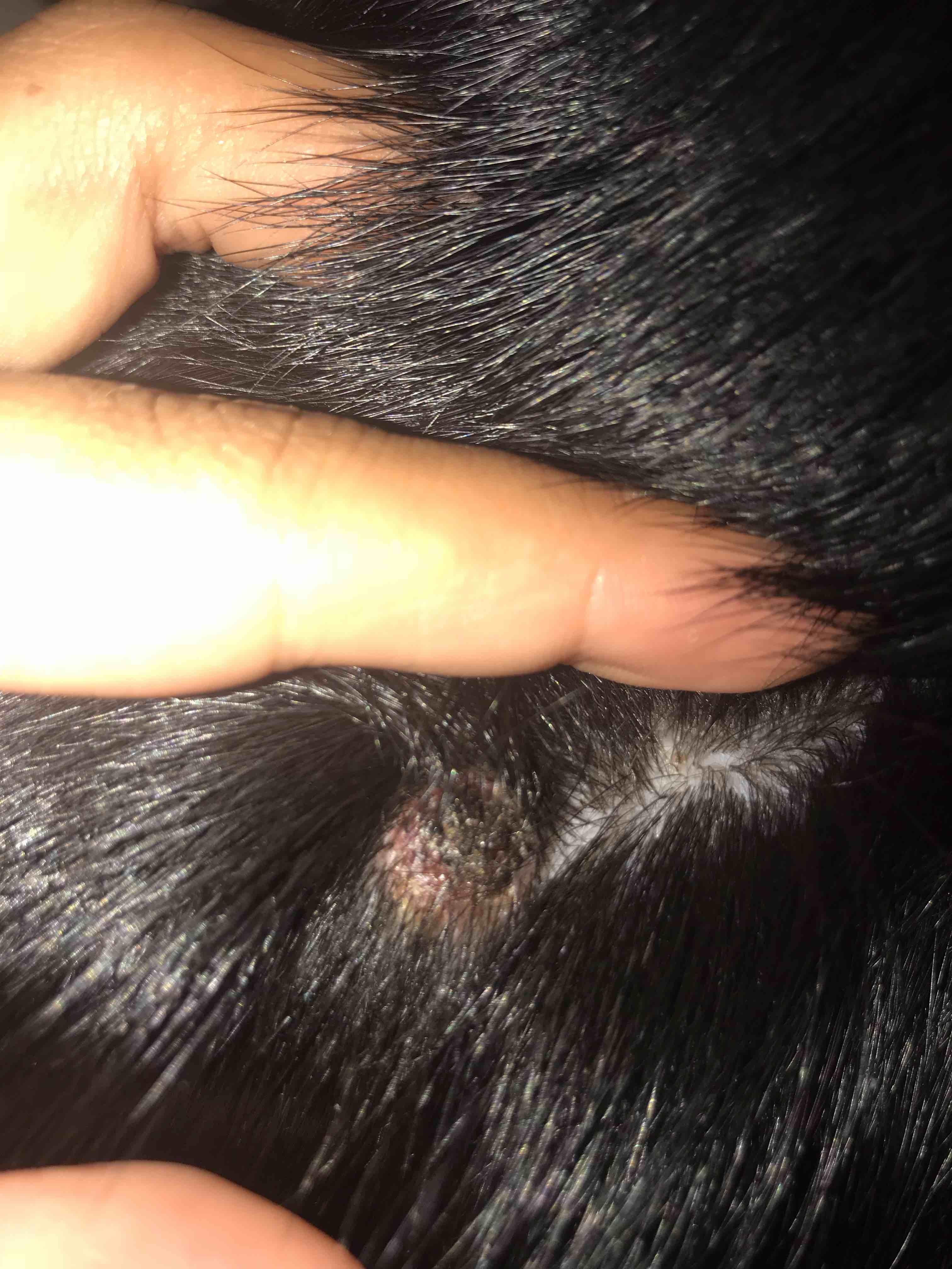 Question details sensitive content