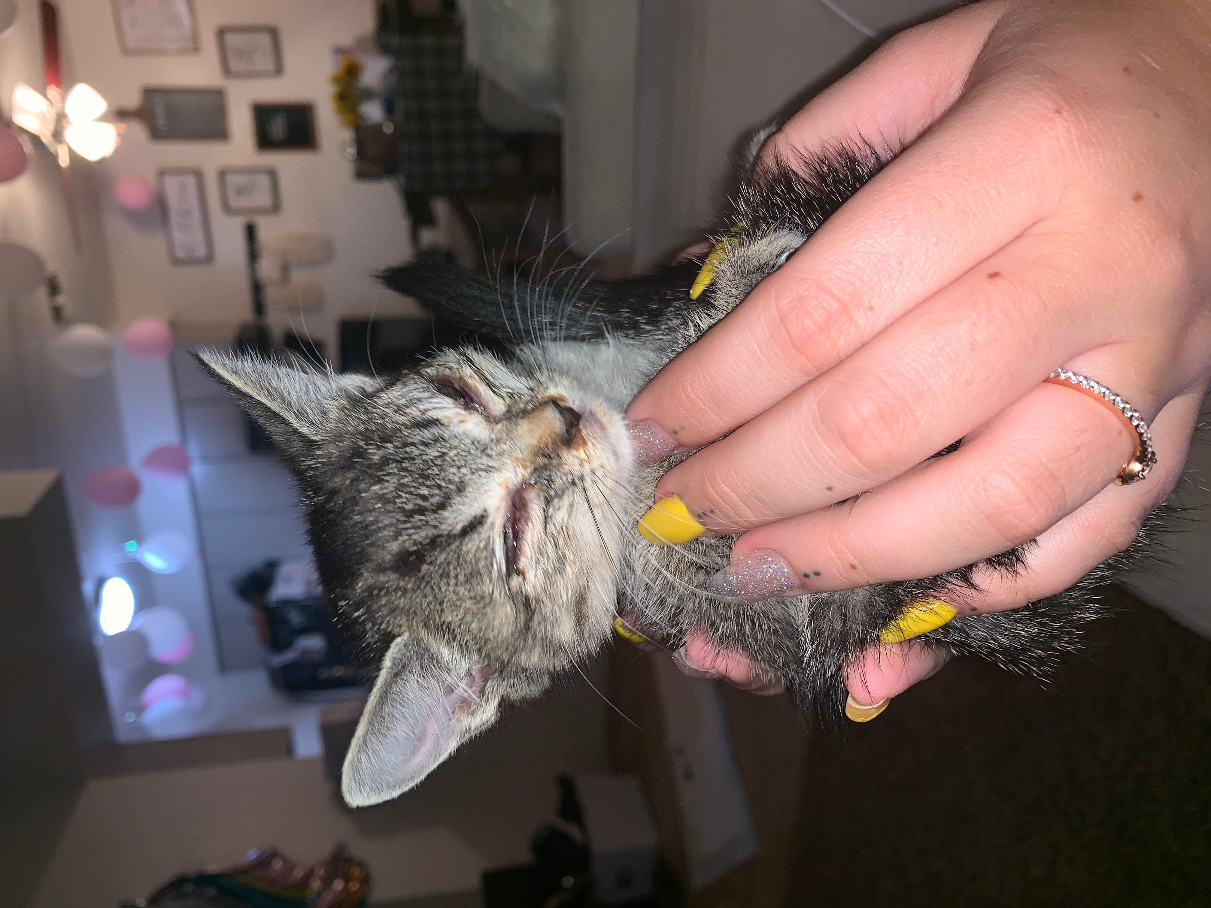 Question details sensitive content