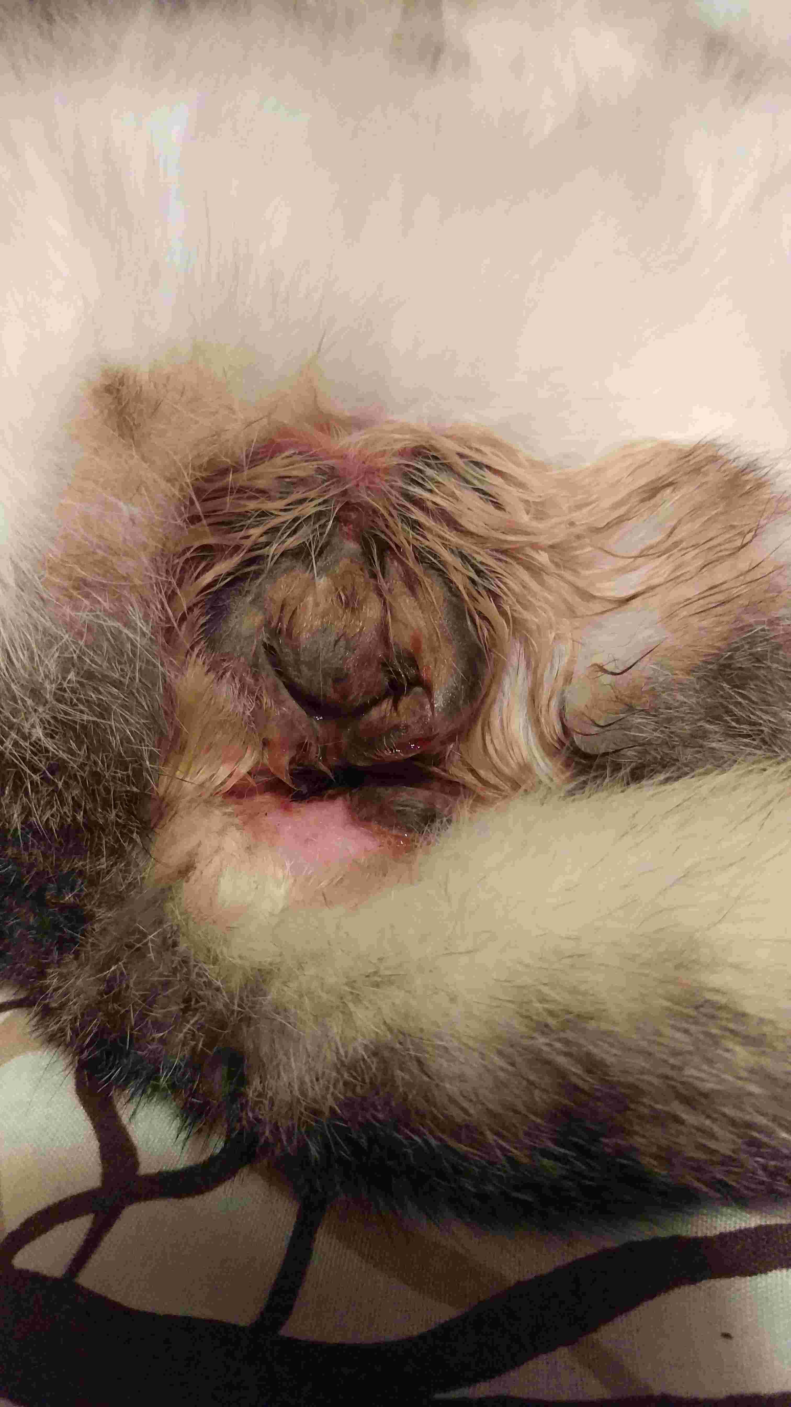 Question details sensitive content