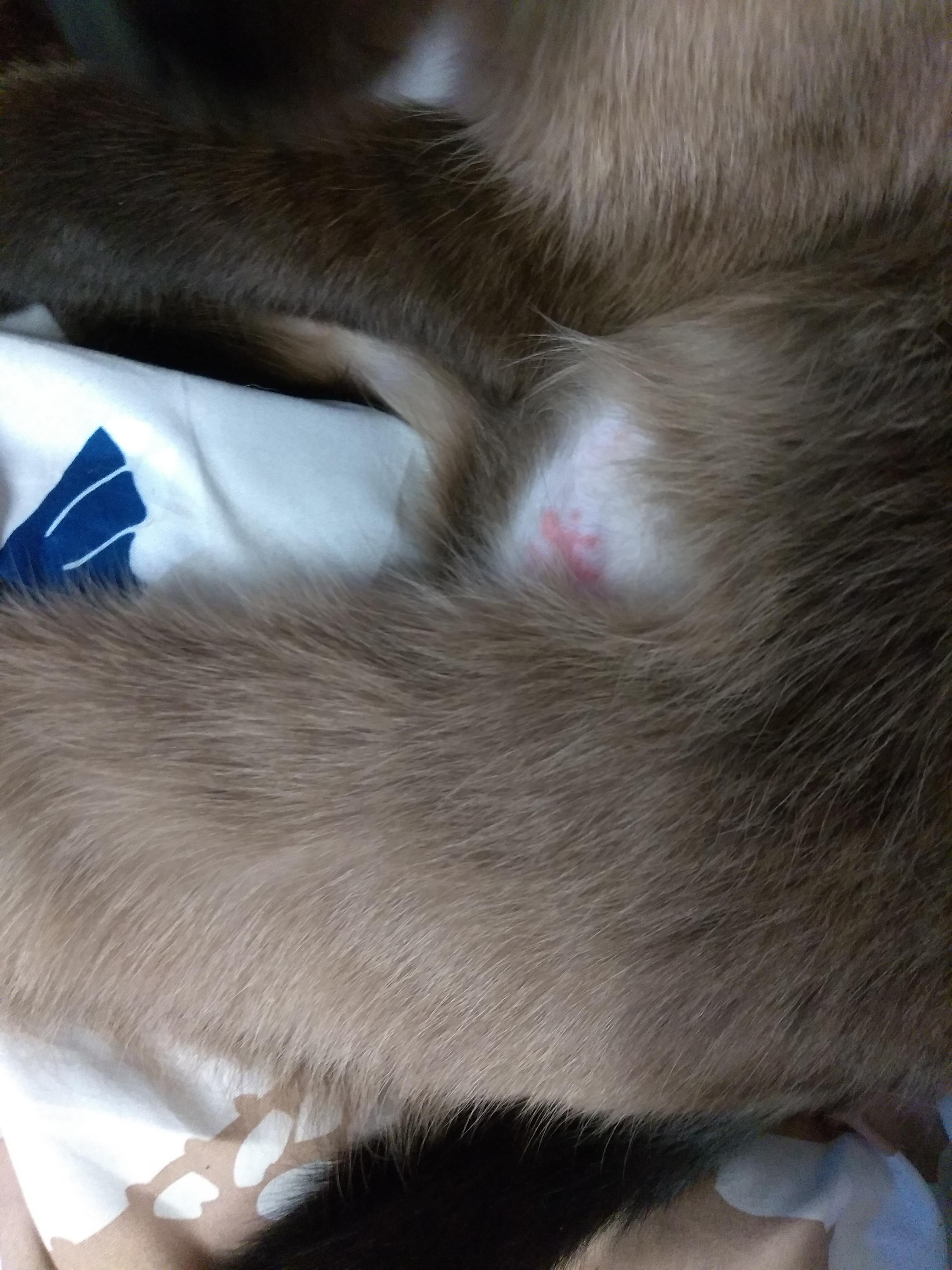 Question details sensitive content