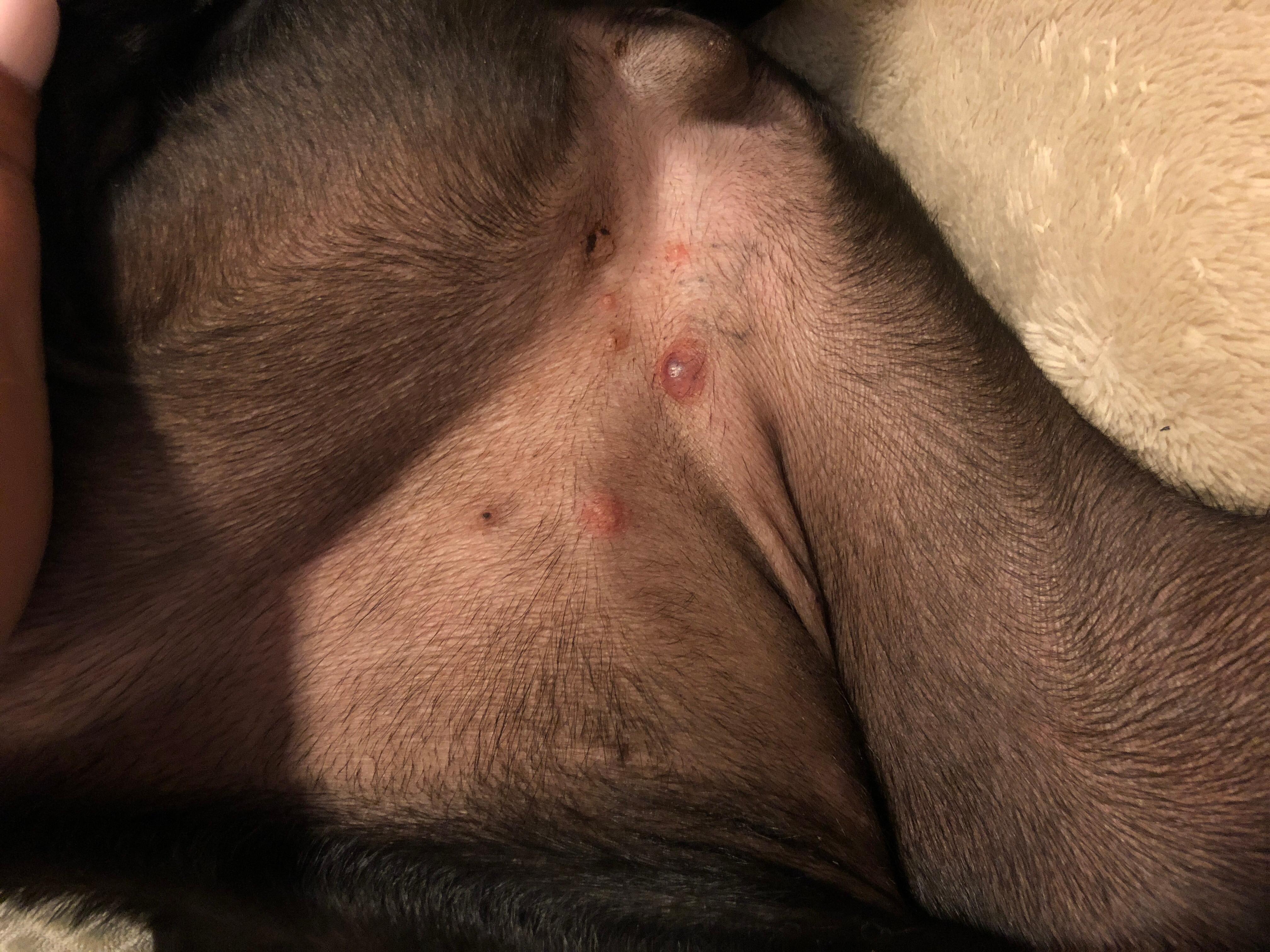 Question details sensitive content