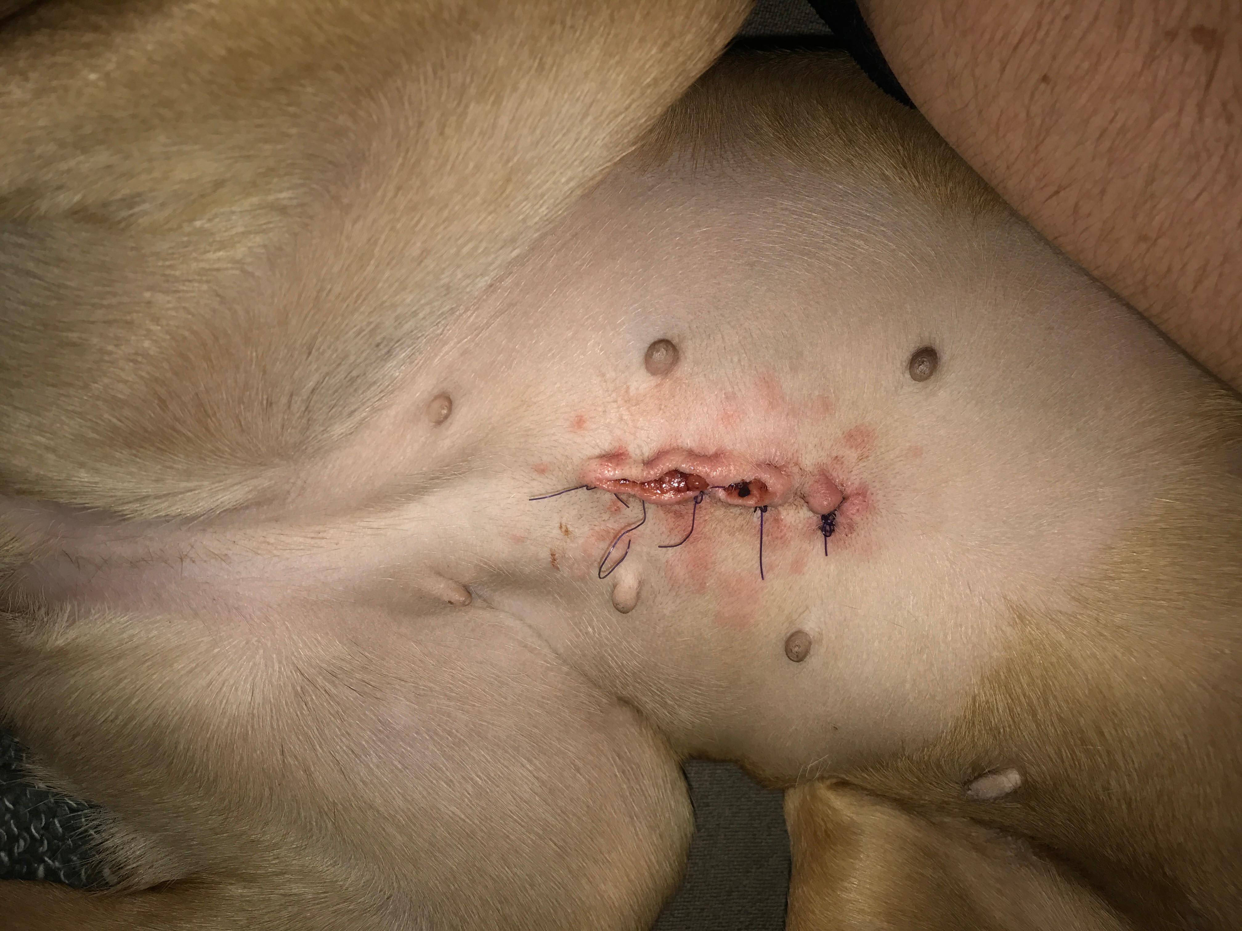 Question details sensitive content