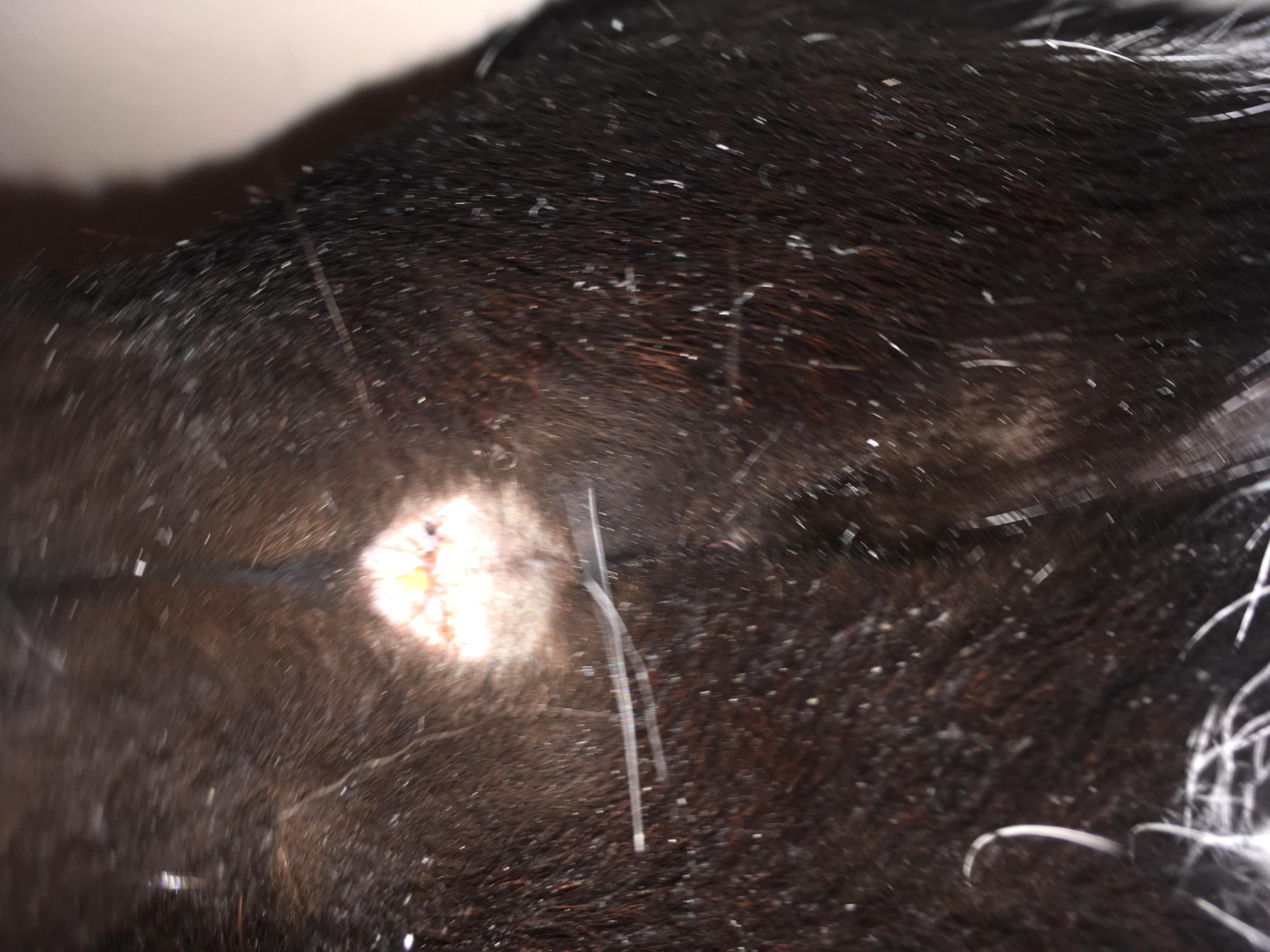 Question details sensitive content