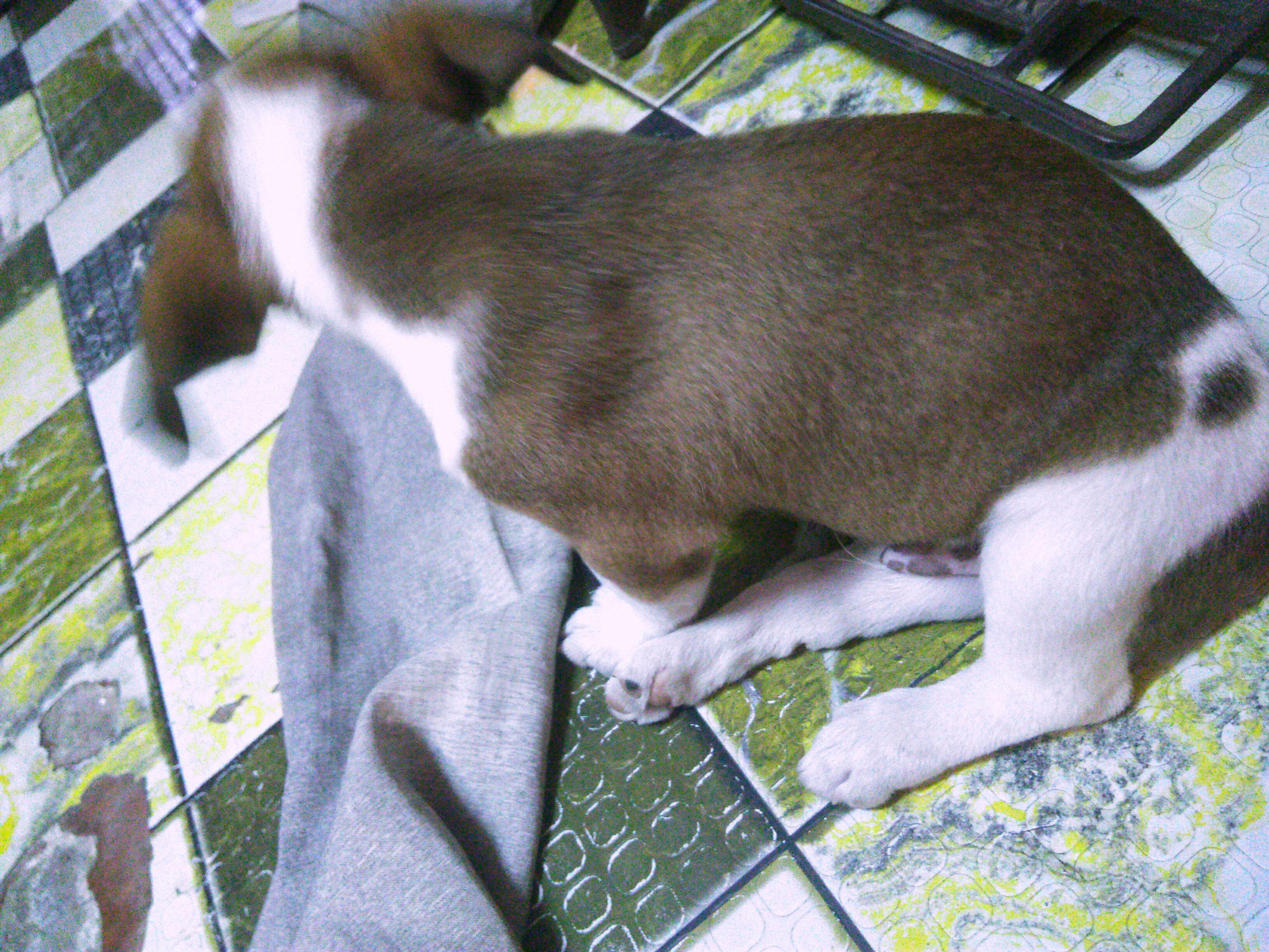 Question details sensitive content