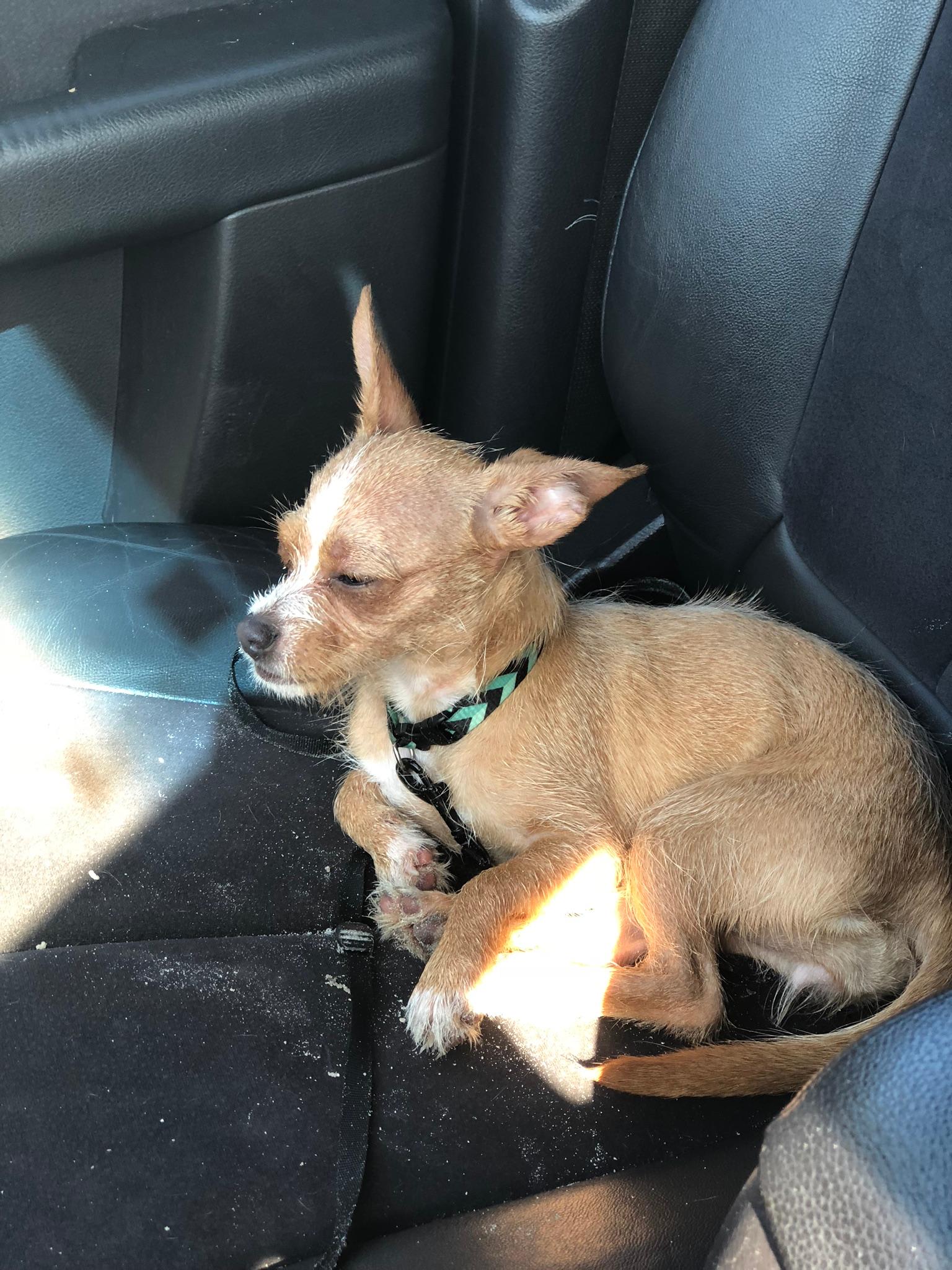 Question details sensitive content