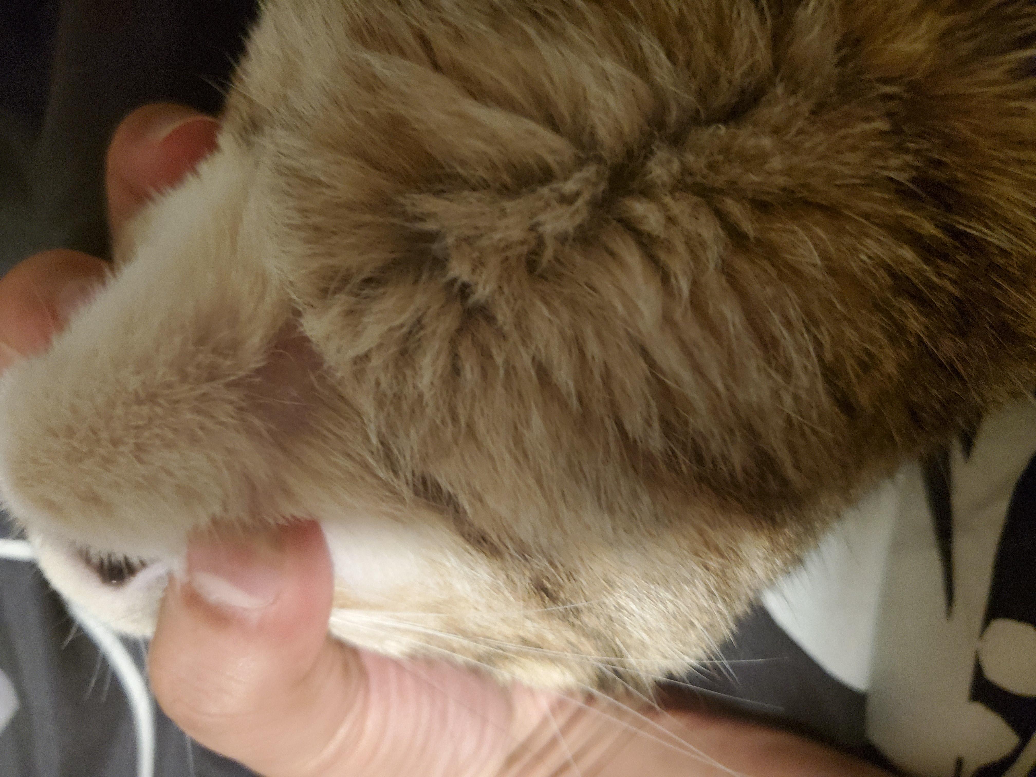 Question details sensitive content