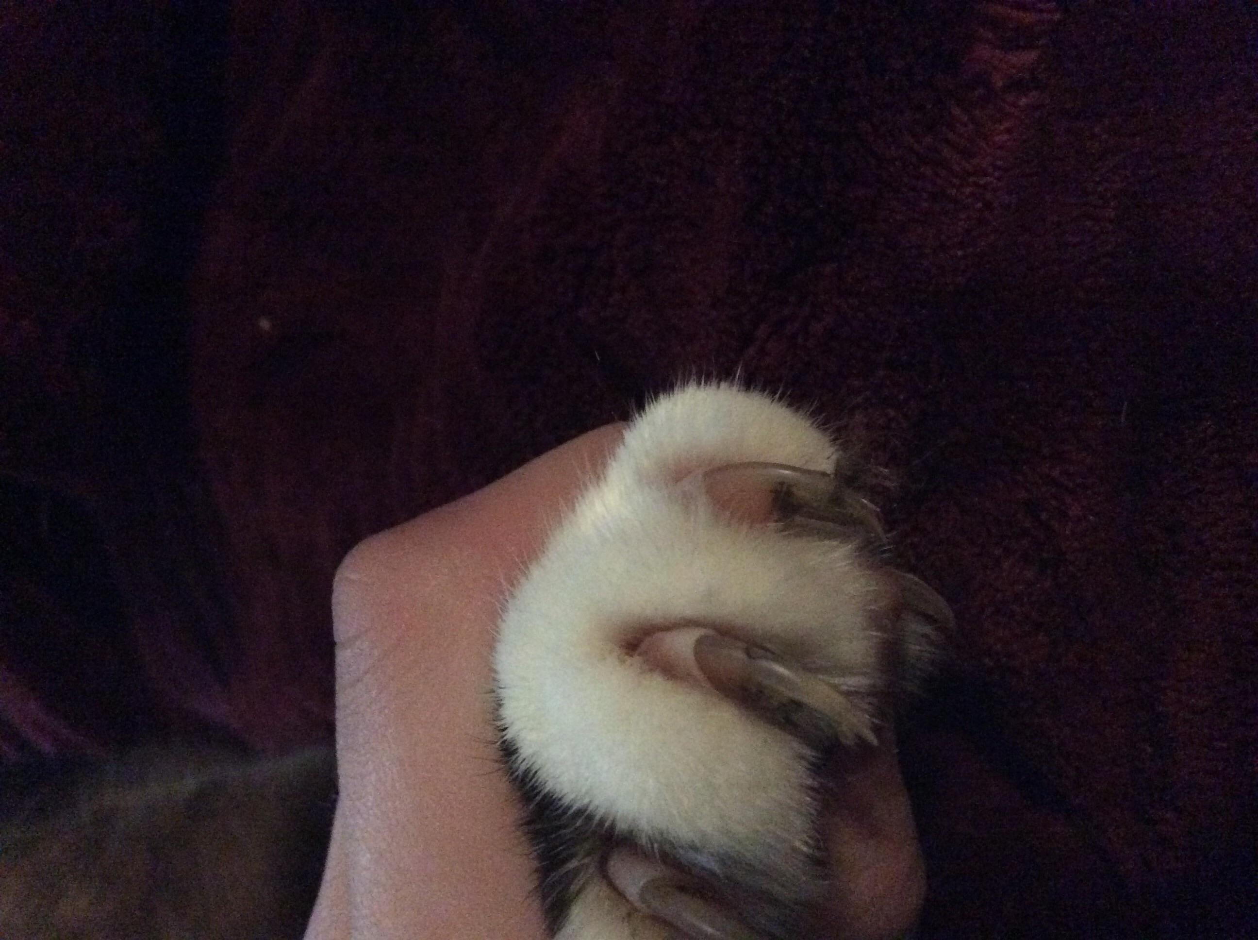 Question details sensitive content