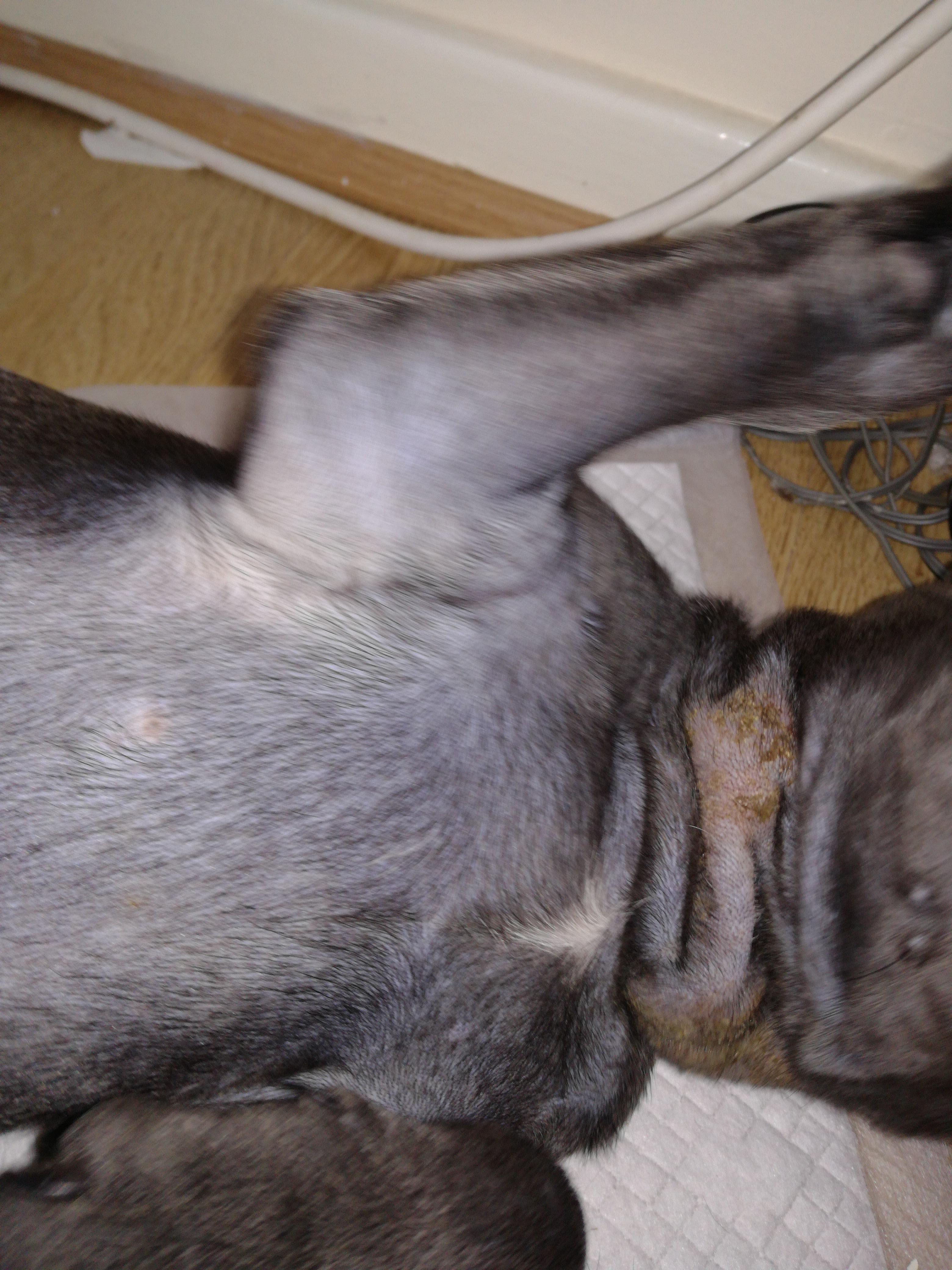 Question details sensitive content